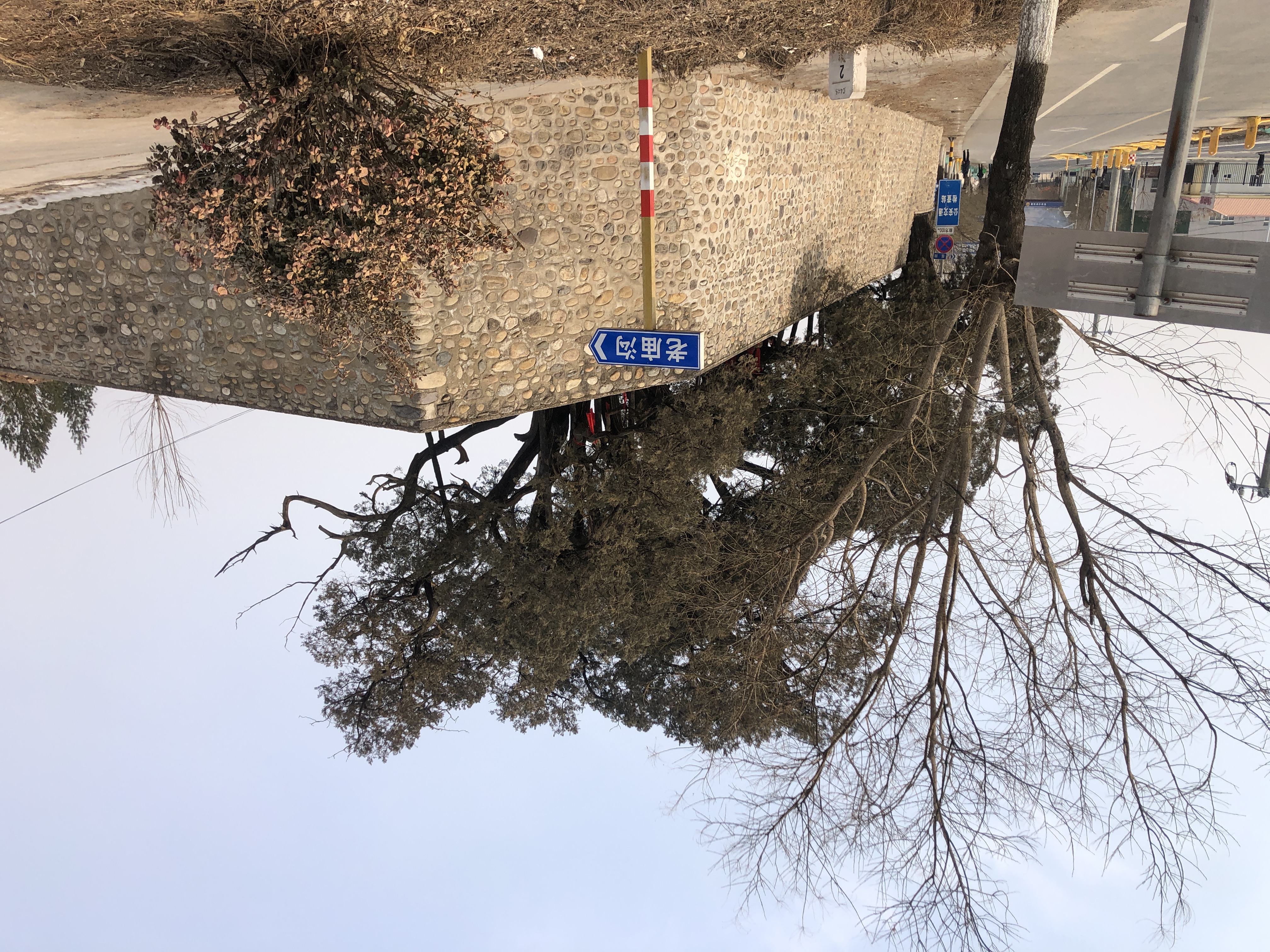 柏神公园旅行图片 2