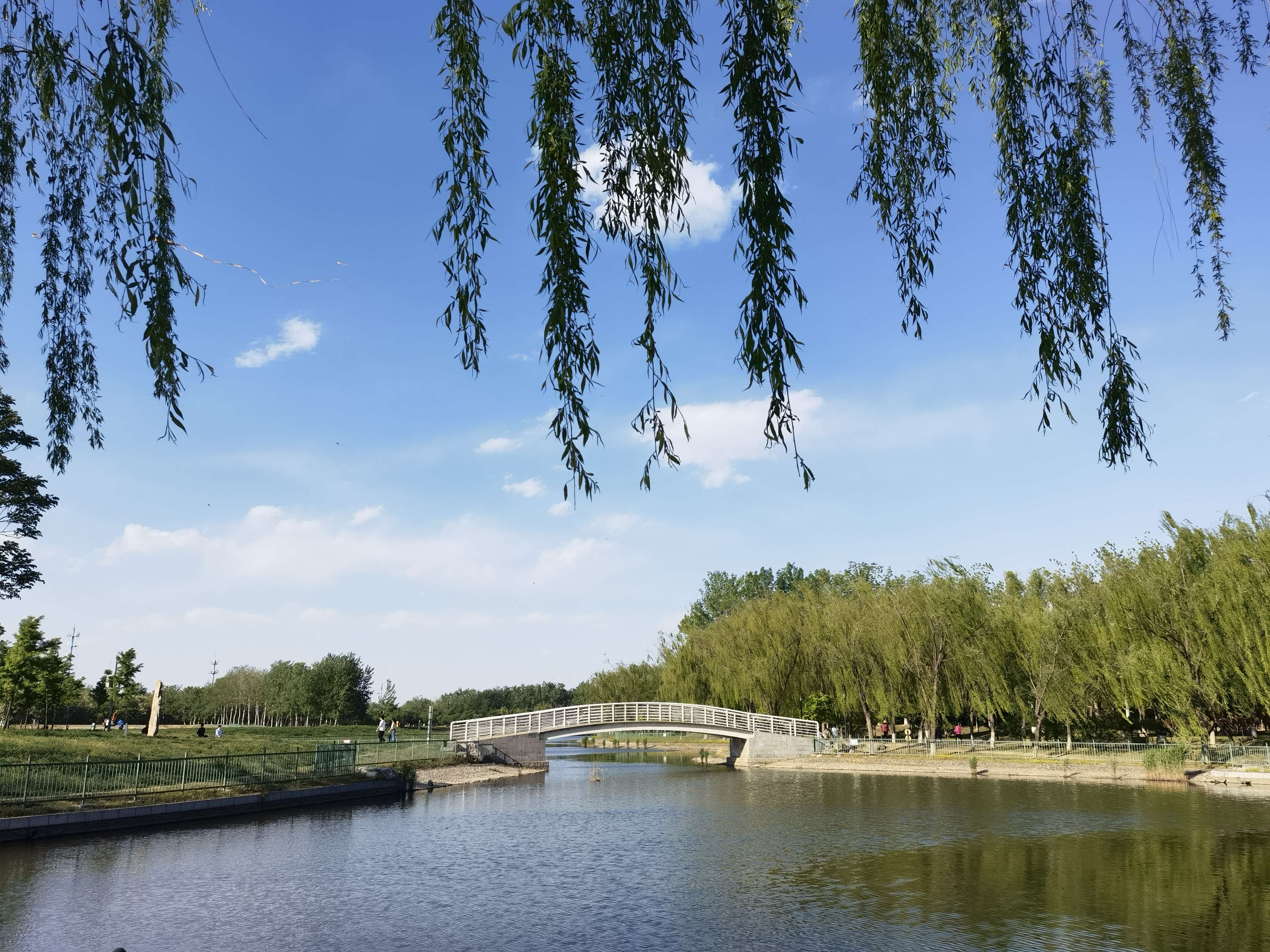 国际企业文化园西园旅行图片 3