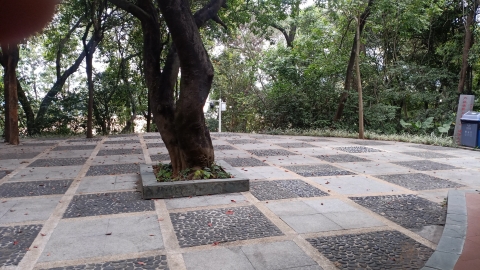 诚联公园旅行图片 1