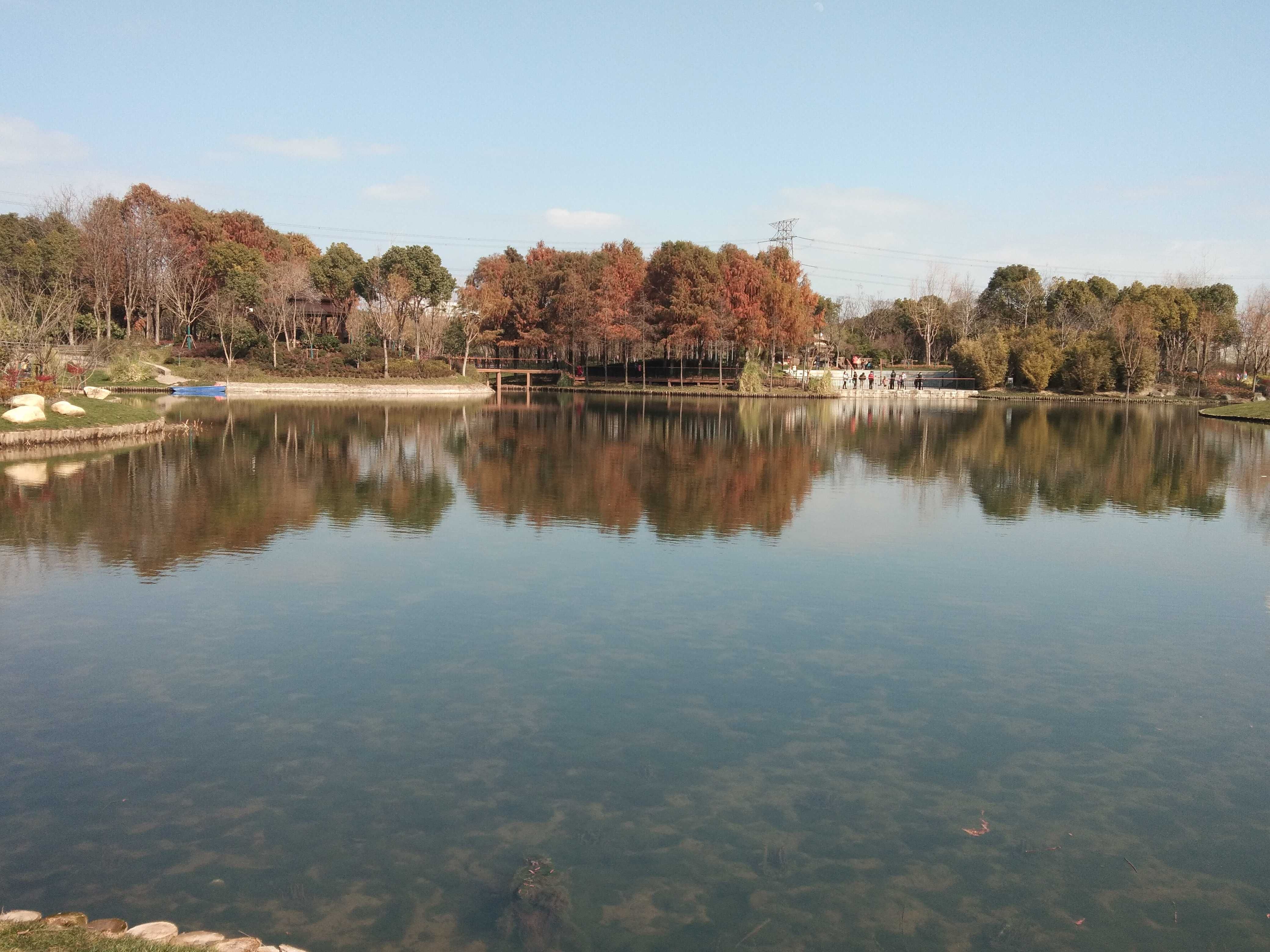 港城公园旅行图片 3