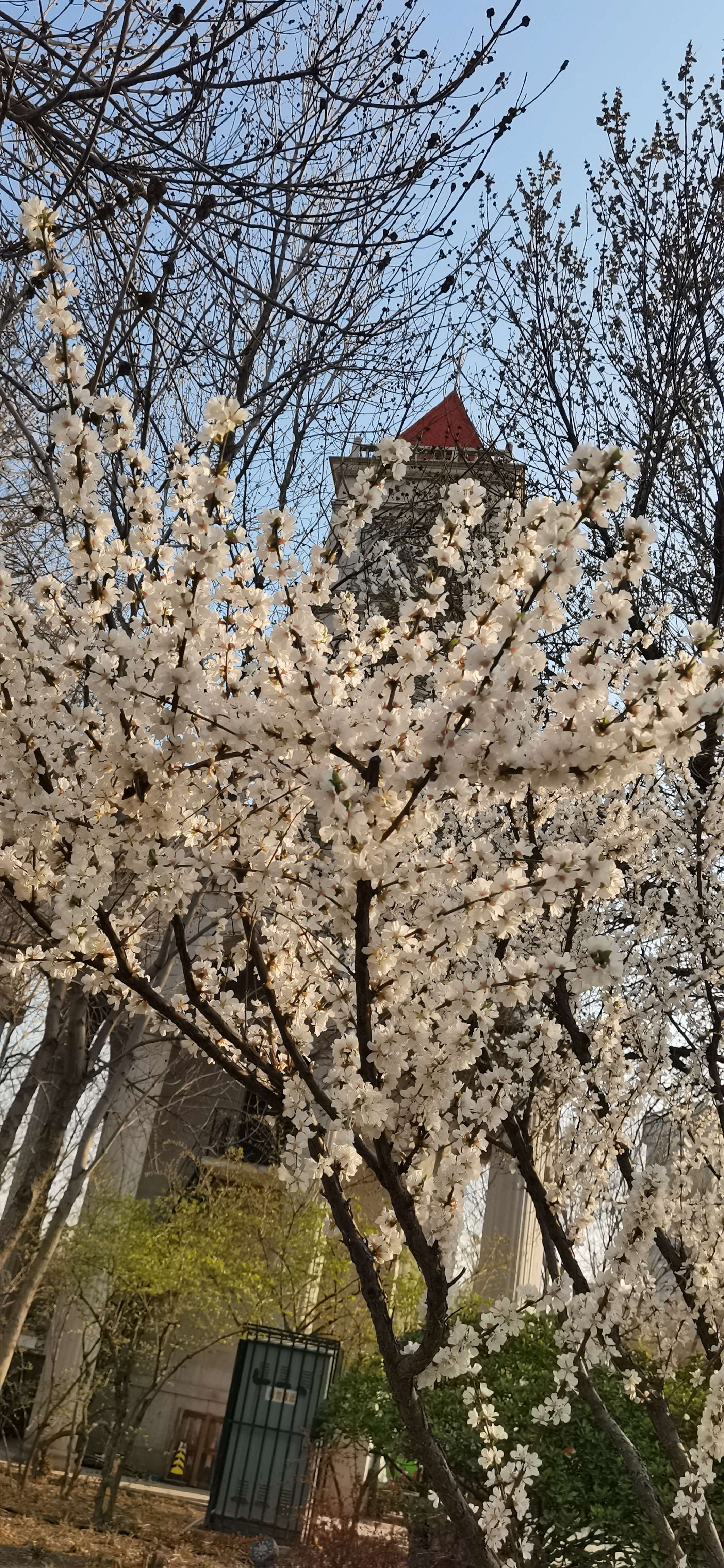 如意园旅行图片 2