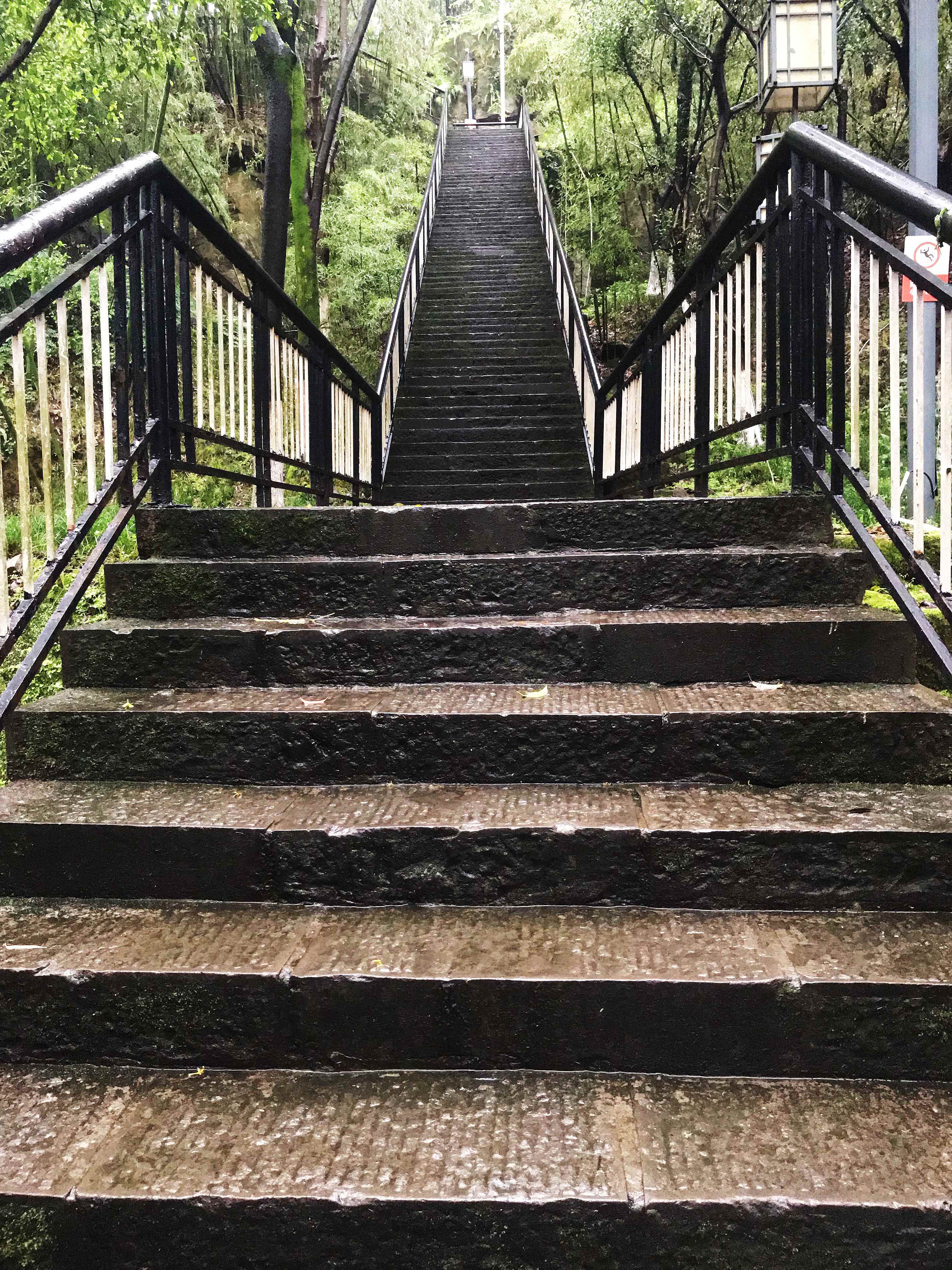 烟灯山公园旅行图片 2