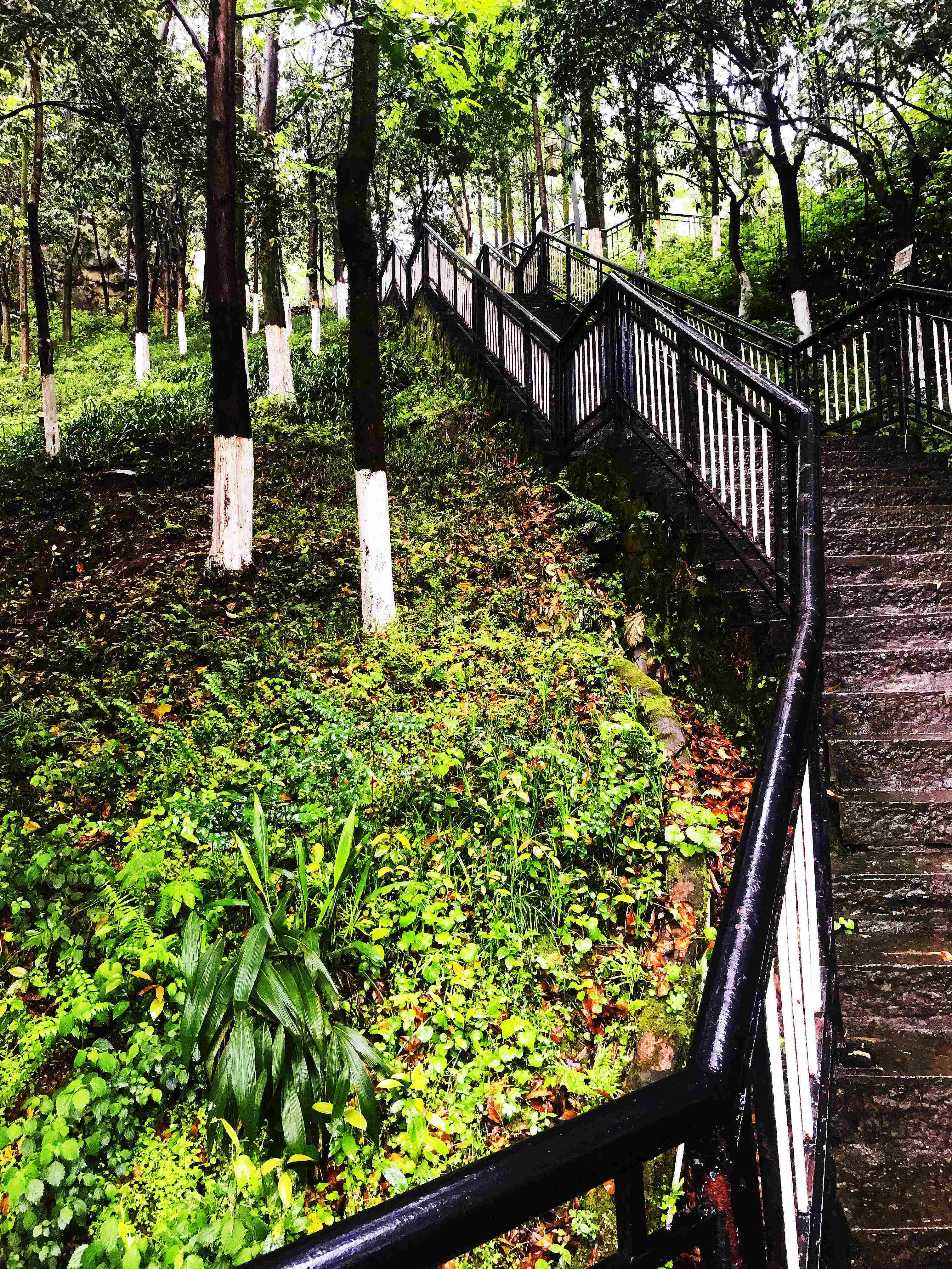 烟灯山公园旅行图片 3