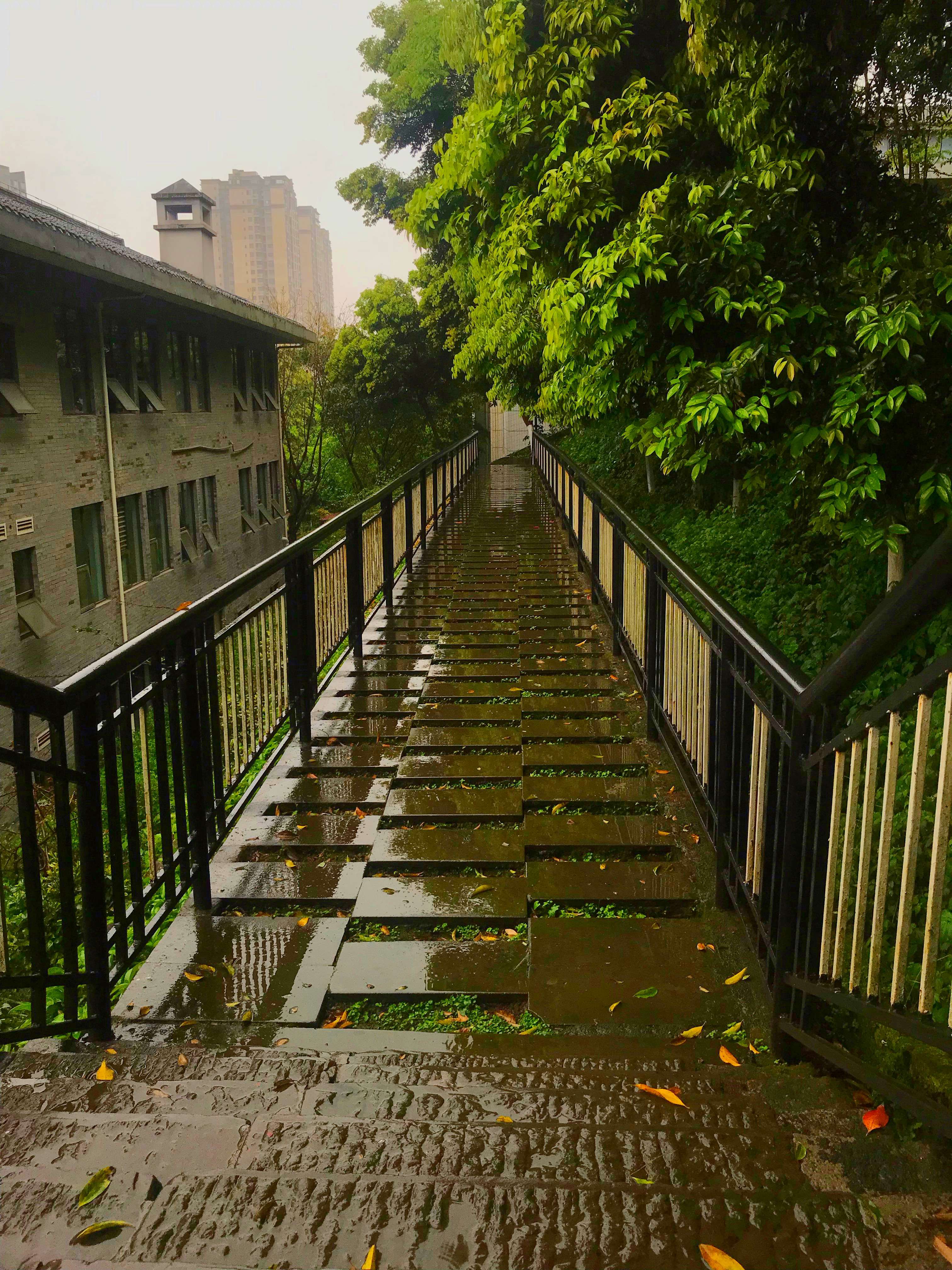 烟灯山公园旅行图片 1