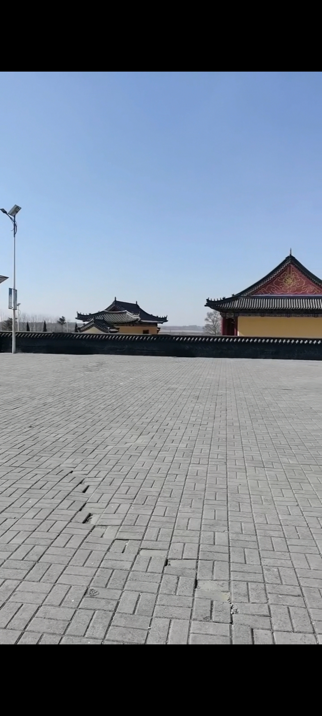 辽滨塔旅行图片 3