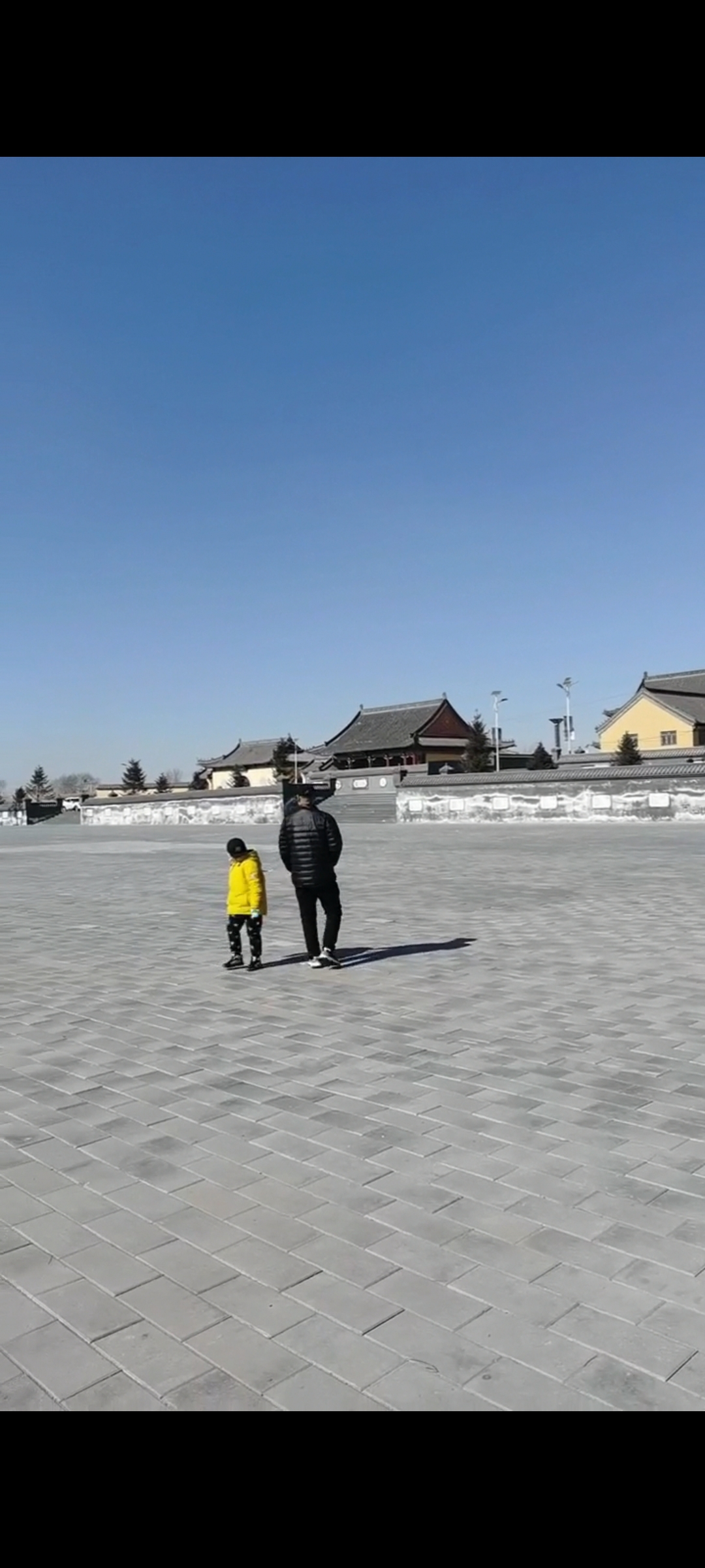辽滨塔旅行图片 2
