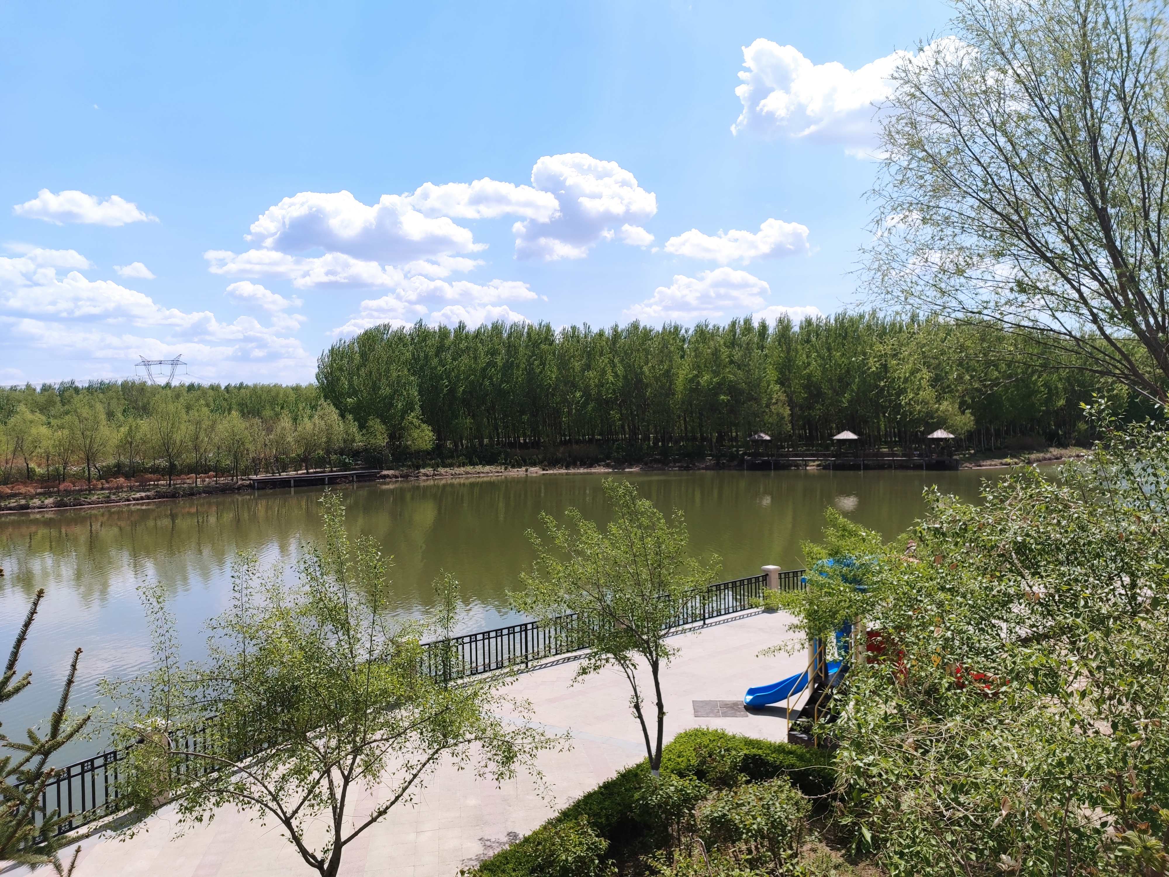 蒲河滩地公园旅行图片 2