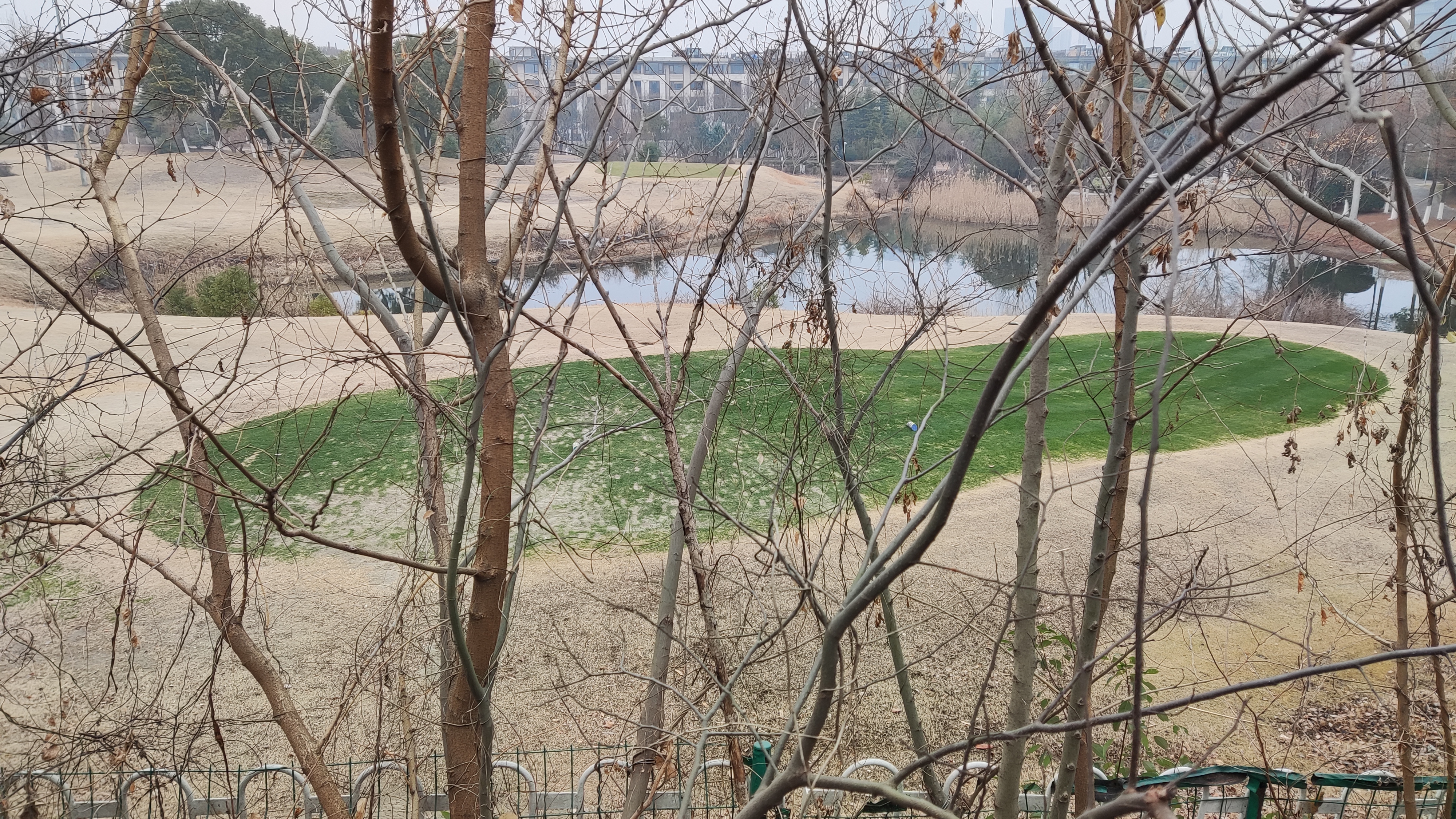 江宁大学城公园旅行图片 1