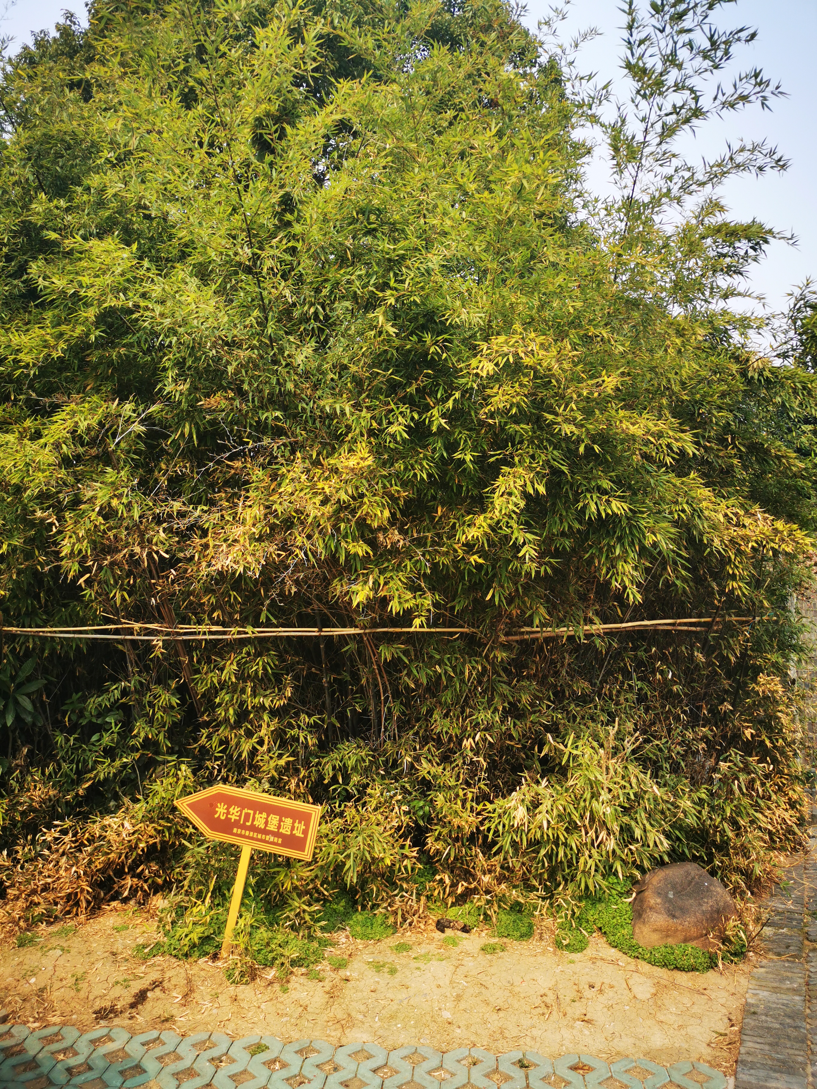 光华门堡垒遗址公园旅行图片 1
