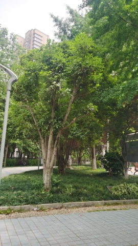 旺山公园旅行图片 1
