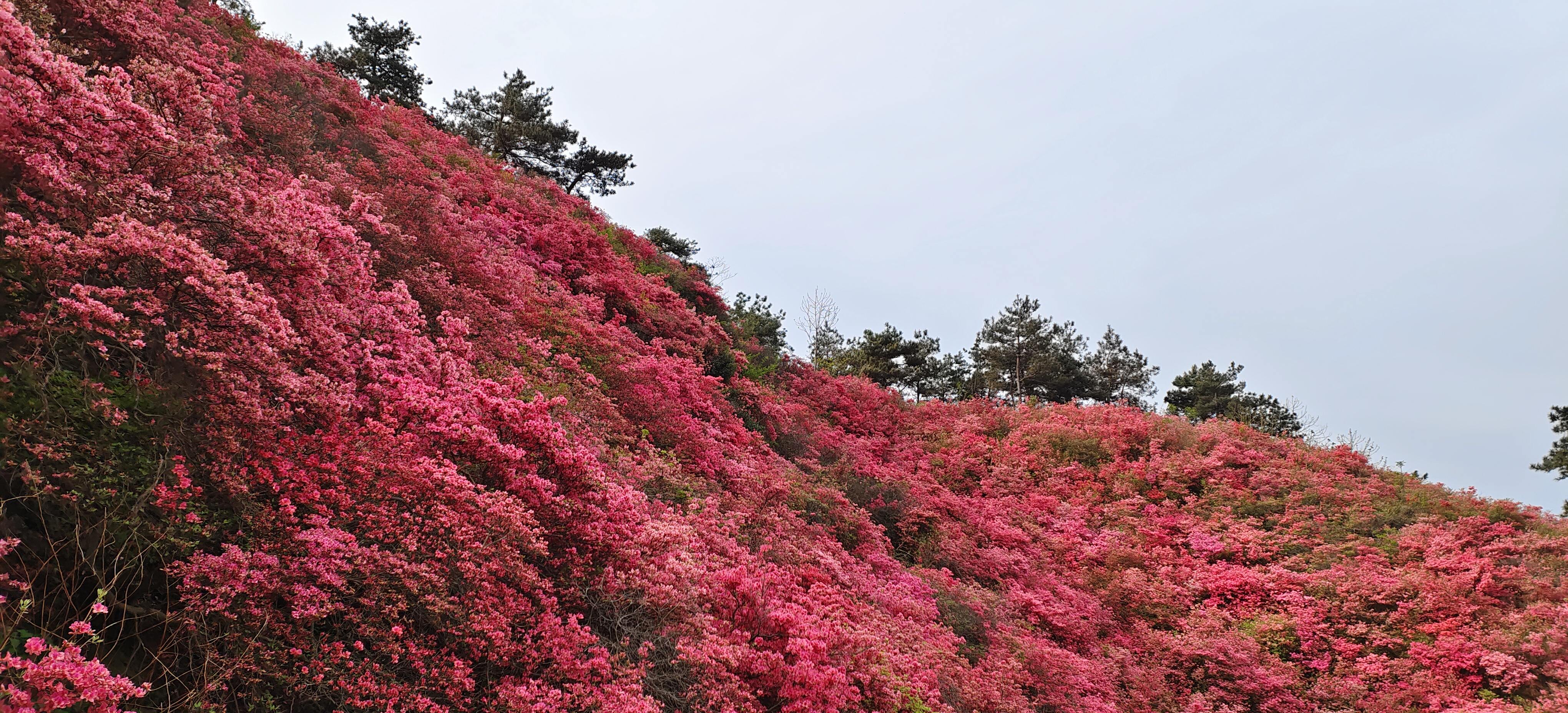 木兰云雾山景区 - 高德地图