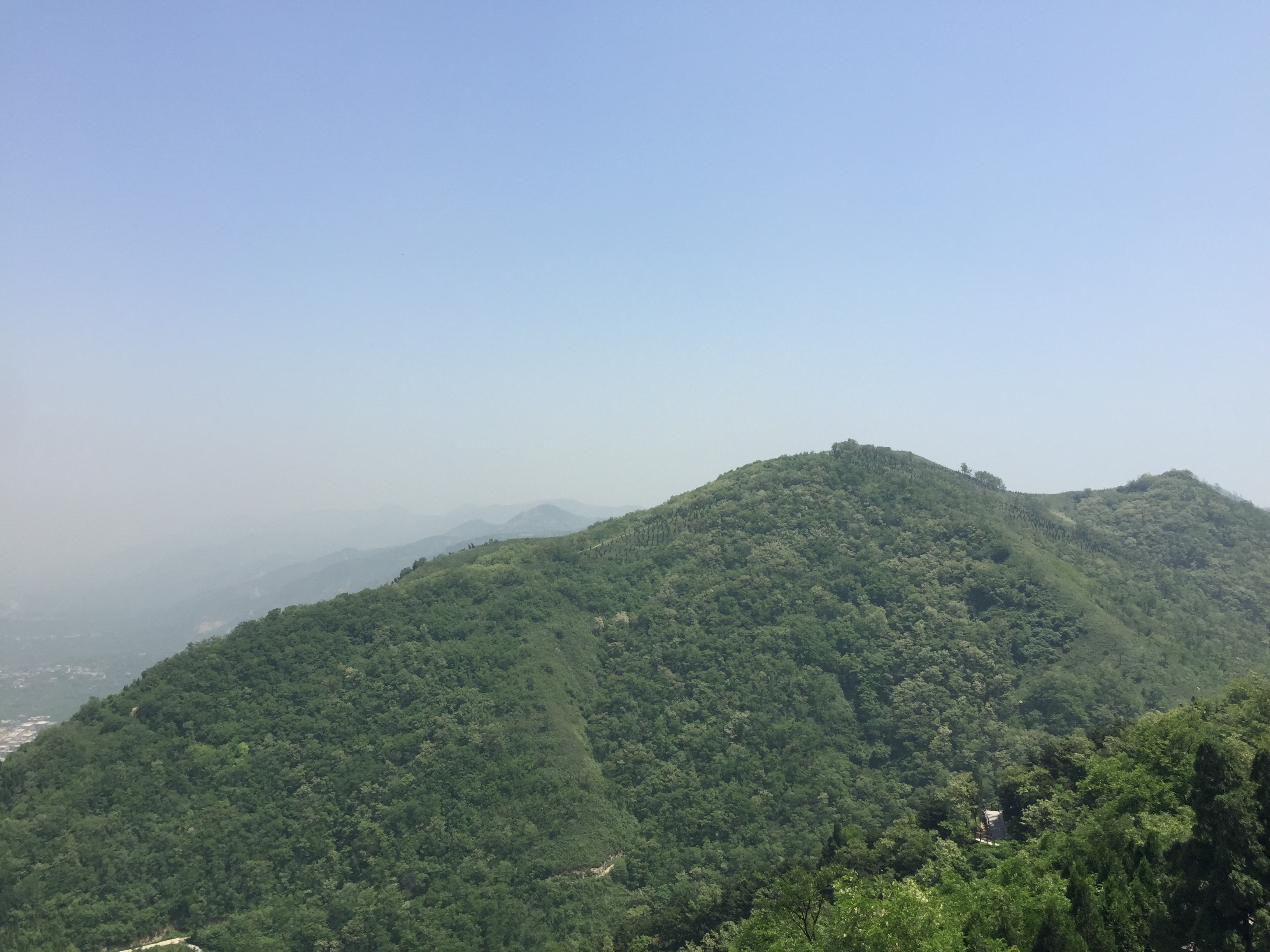 洪庆山国家森林公园