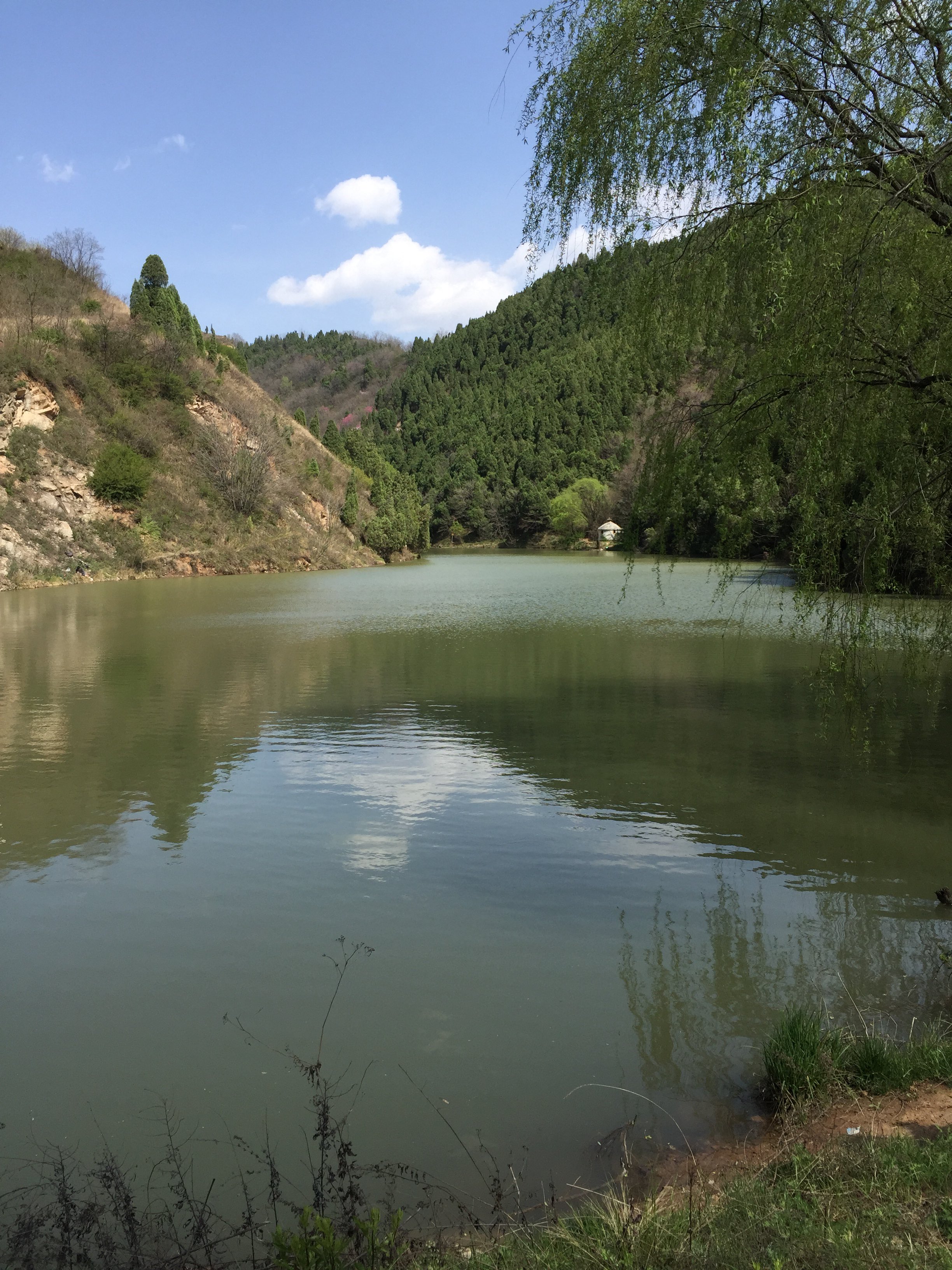 洪庆山国家森林公园