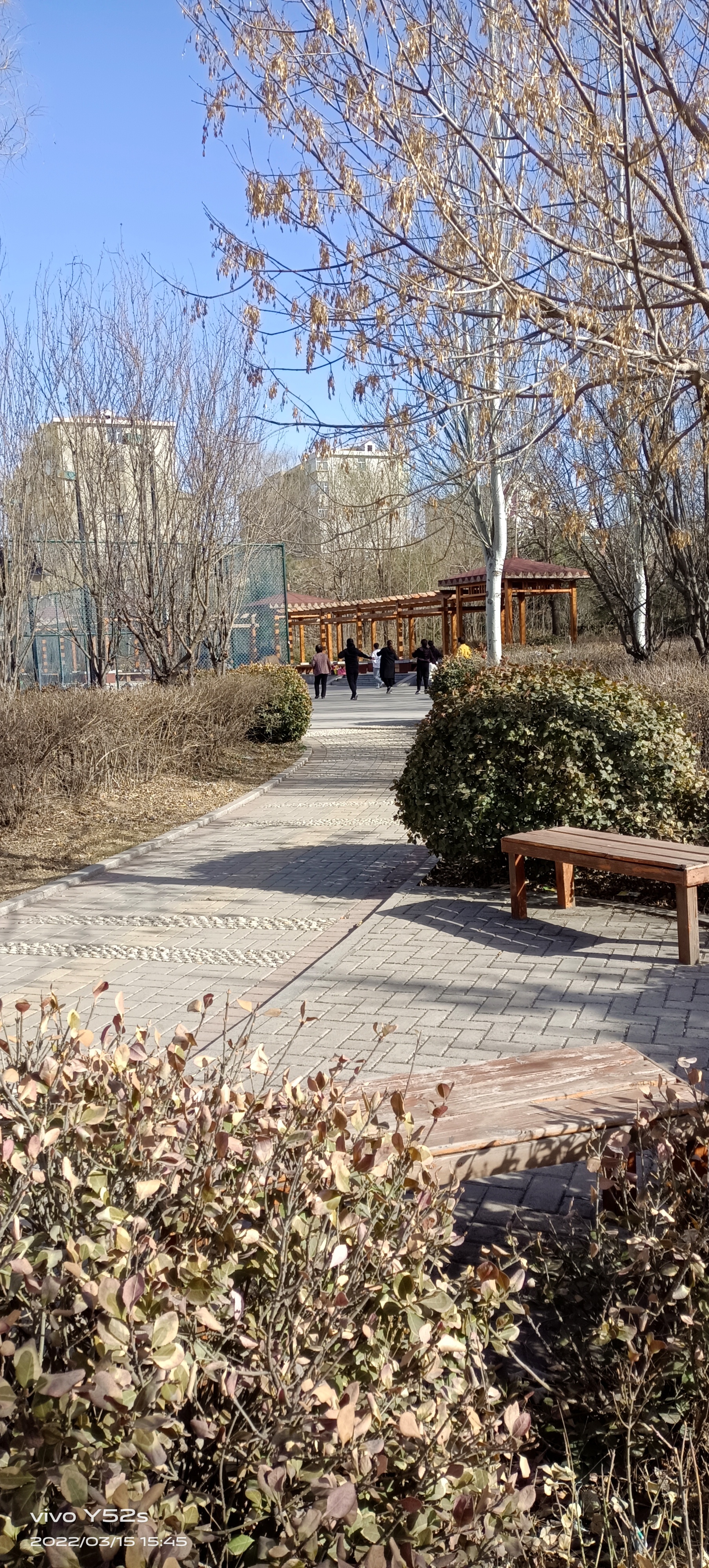 藏山北路游园旅行图片 2