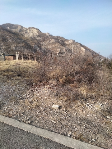 临汾九龙山森林公园