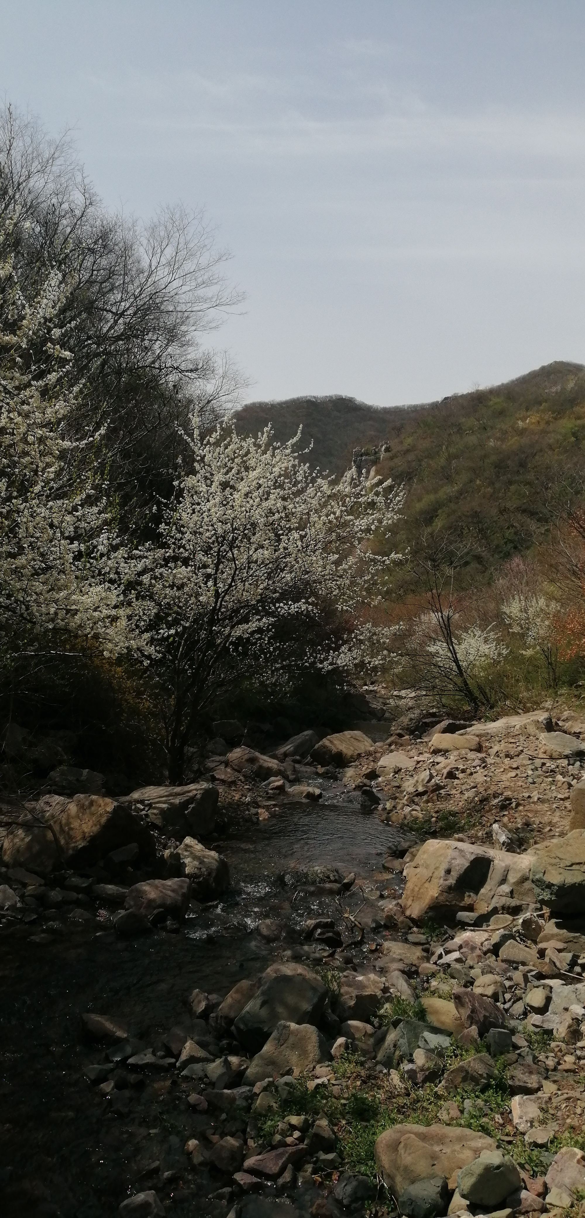 凤鸣谷风景区旅行图片 3