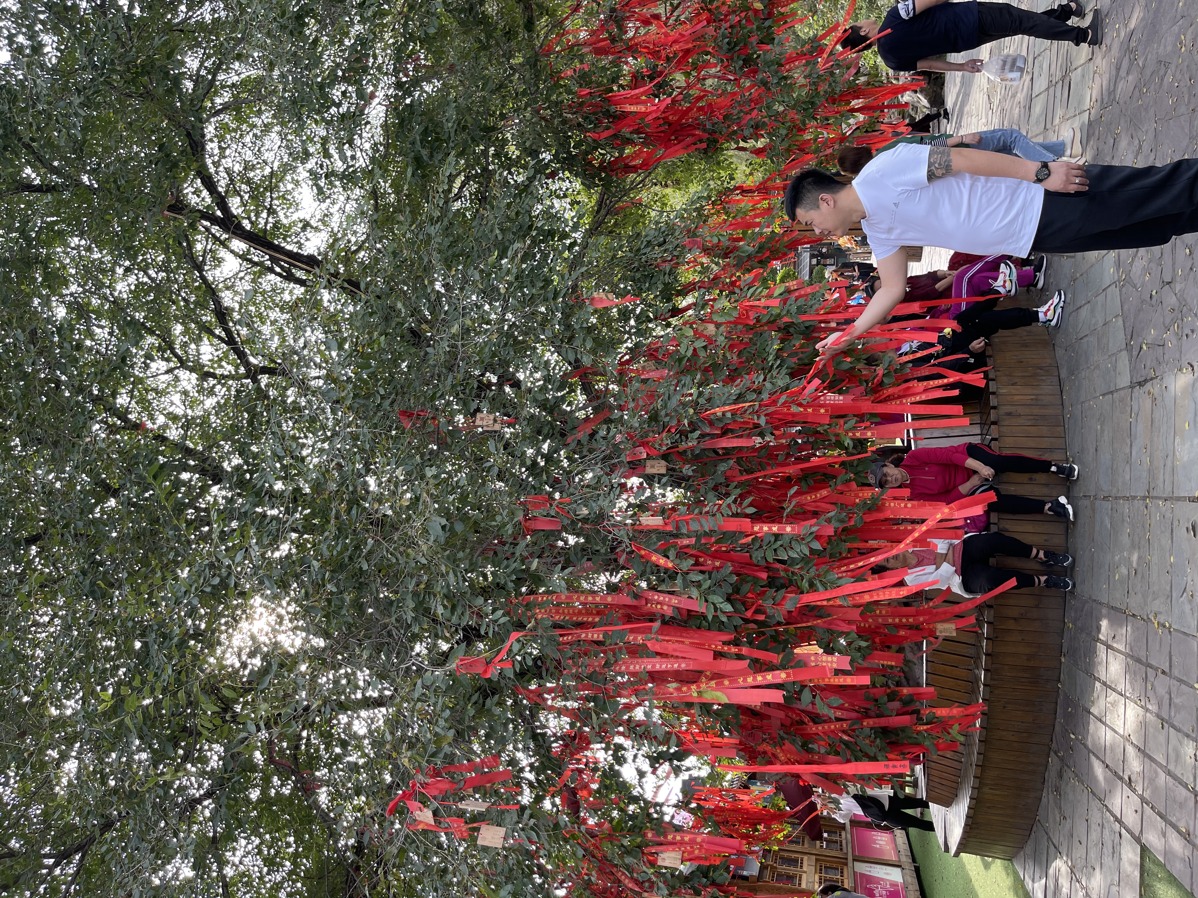 台安县公园旅行图片 1