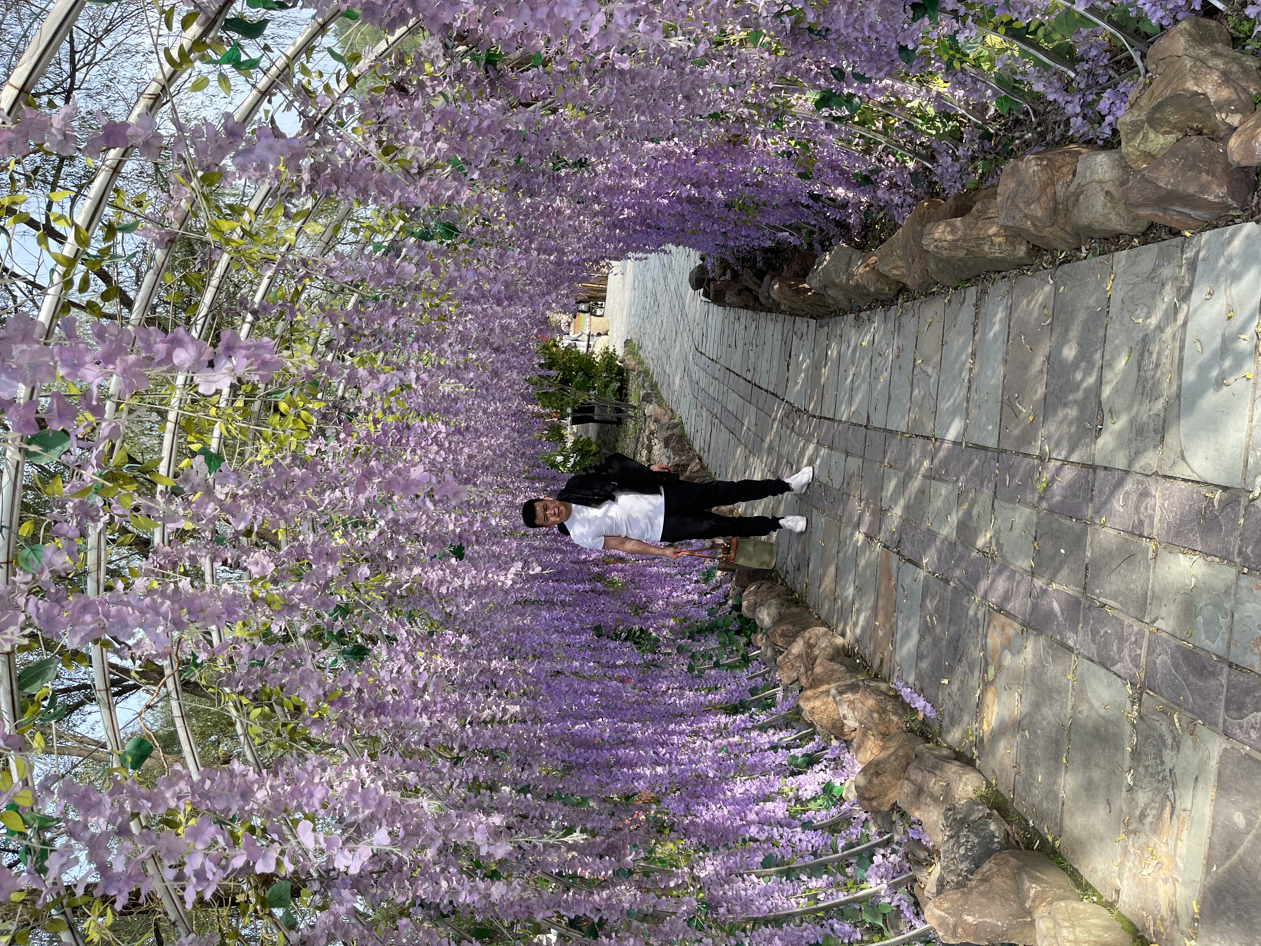 台安县公园旅行图片 2