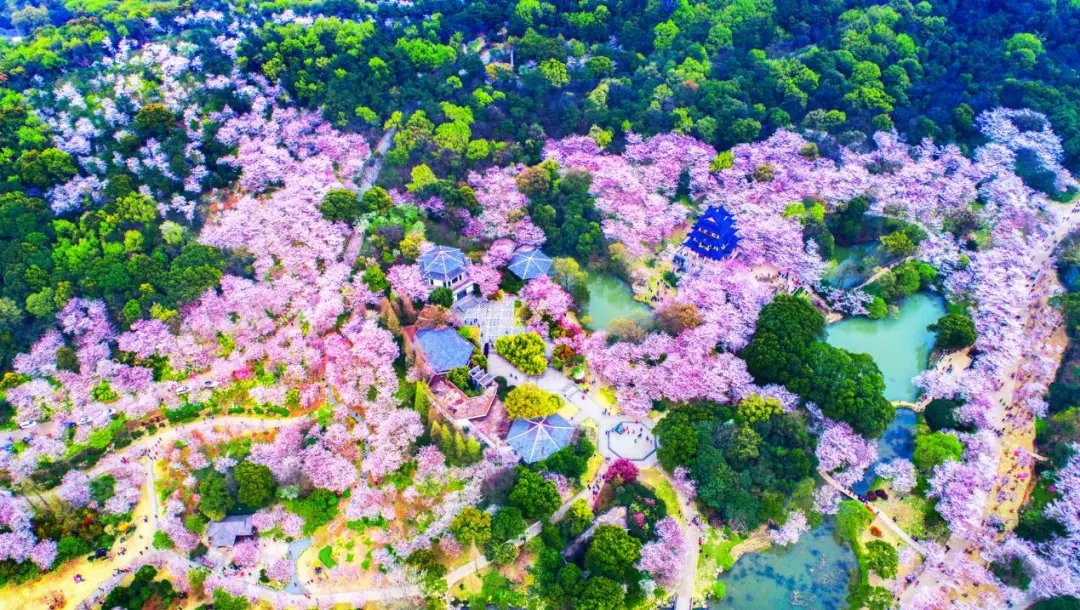太湖鼋头渚风景区-充山