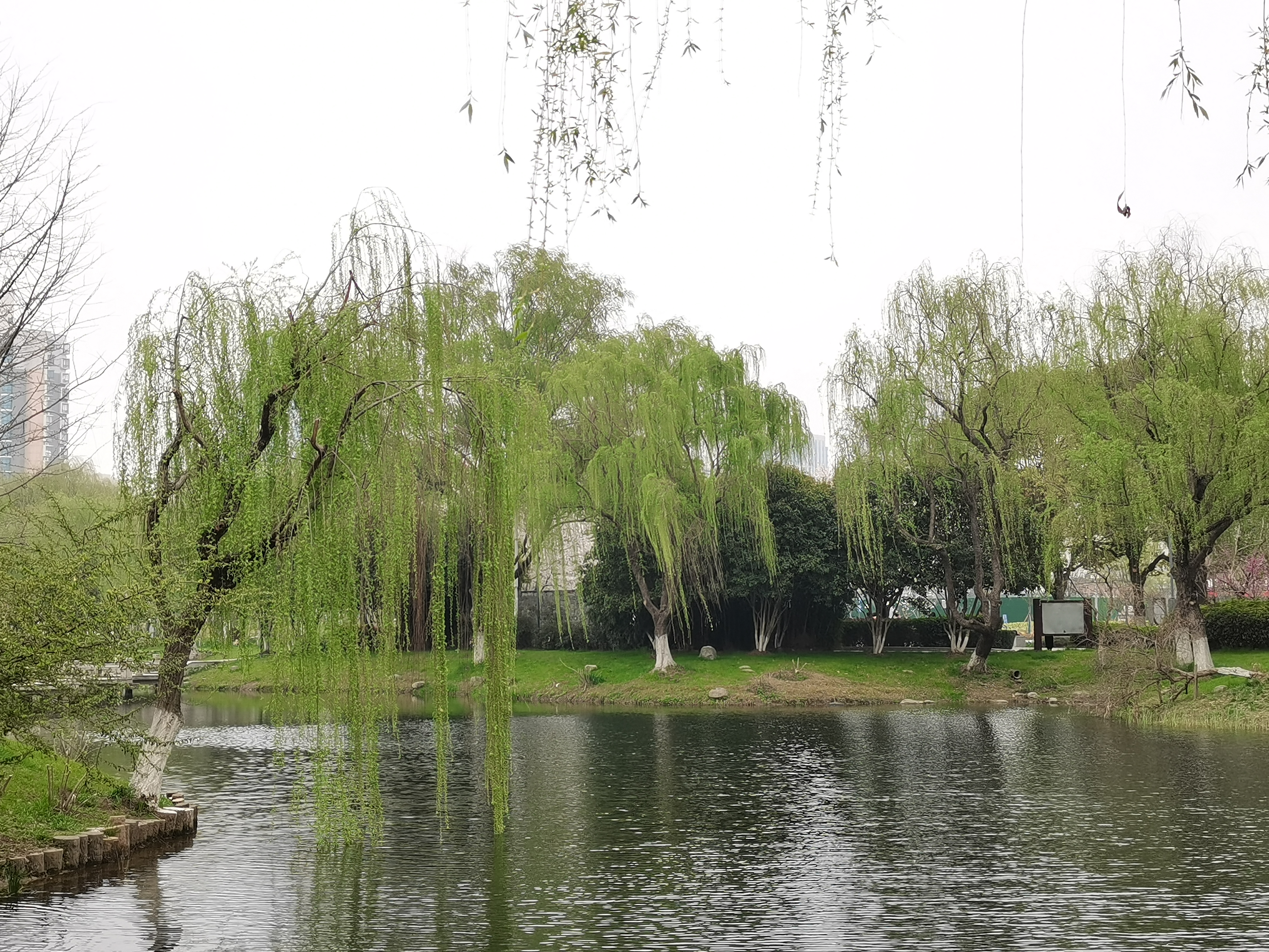 香溢园旅行图片 3