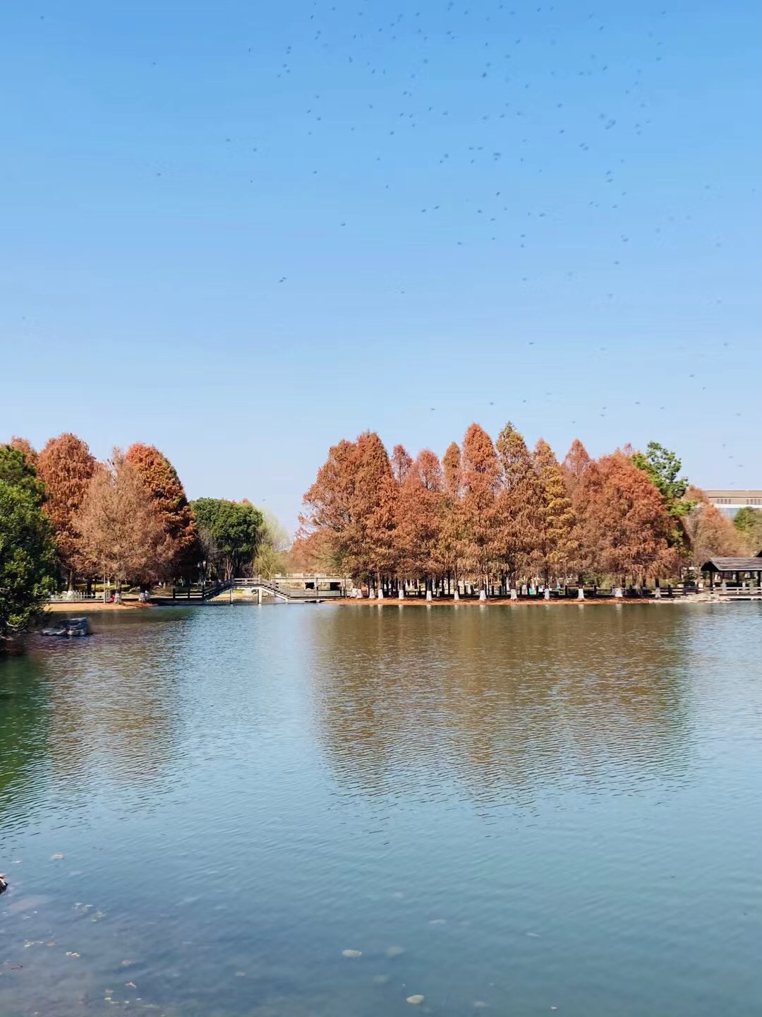 翡翠湖生态公园旅行图片 3