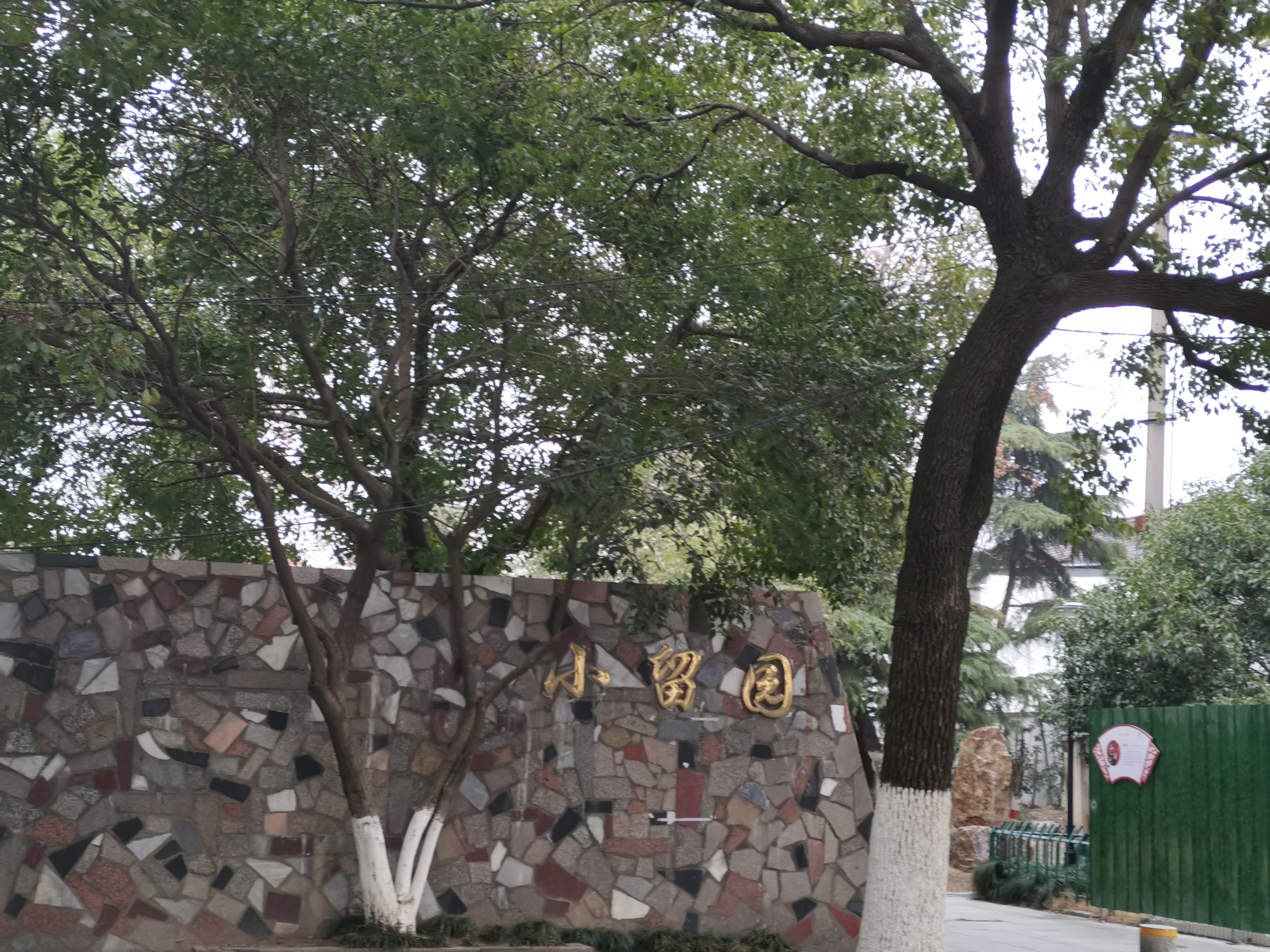 小留园旅行图片 1
