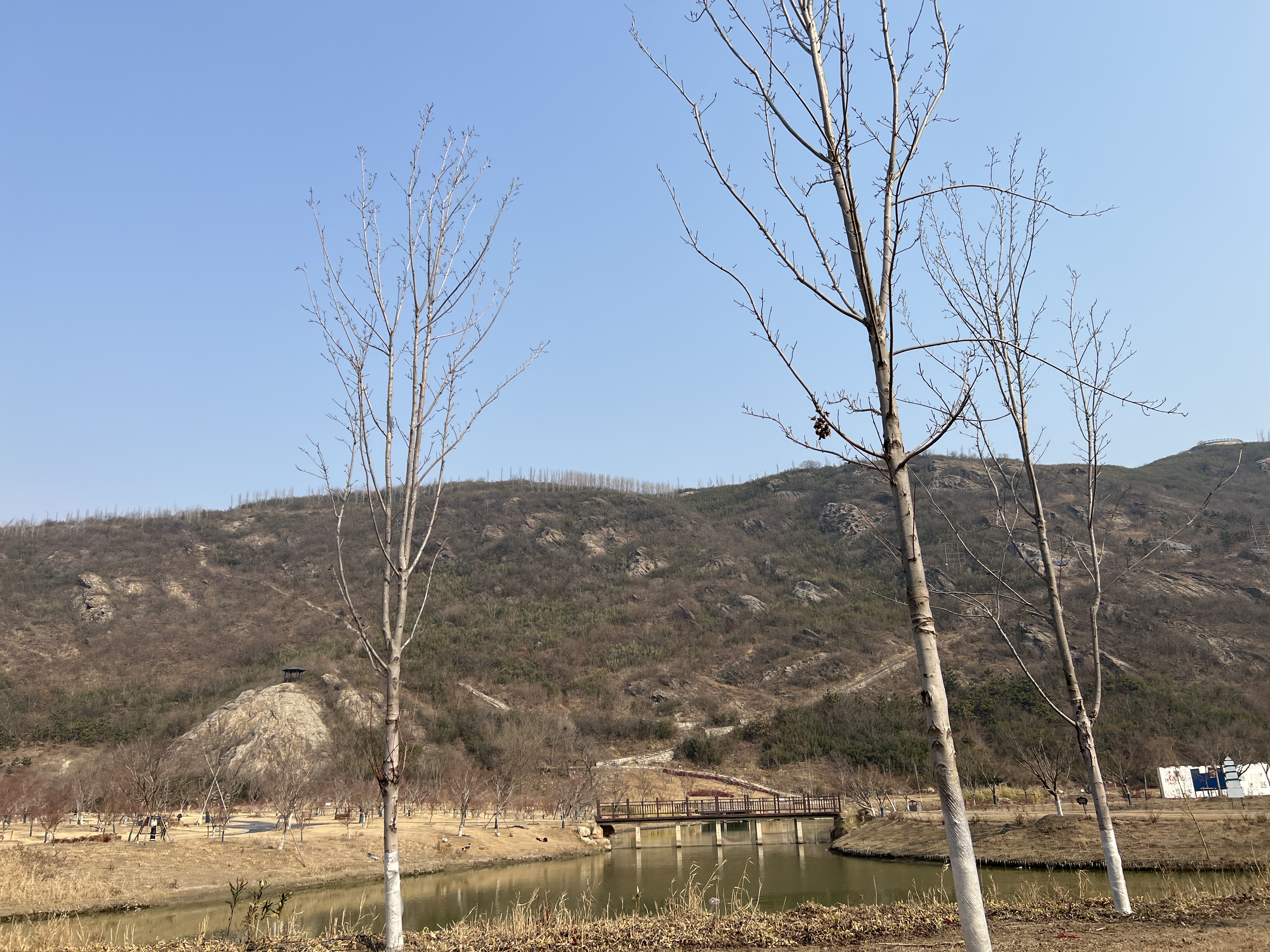 伊芦山旅行图片 1