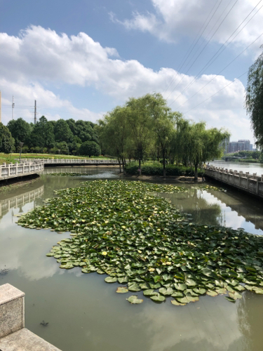 华山公园