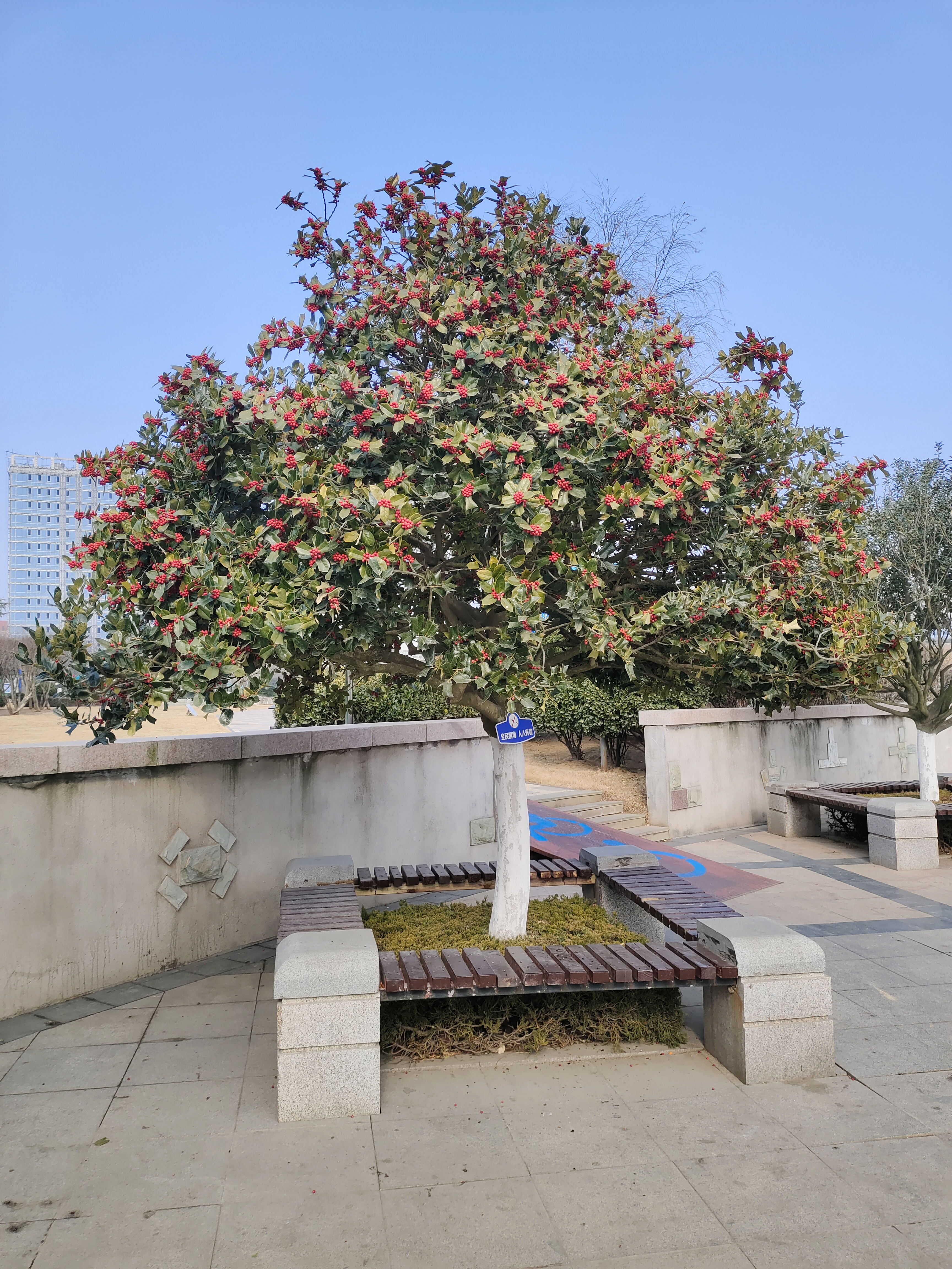 丁家河公园旅行图片 2