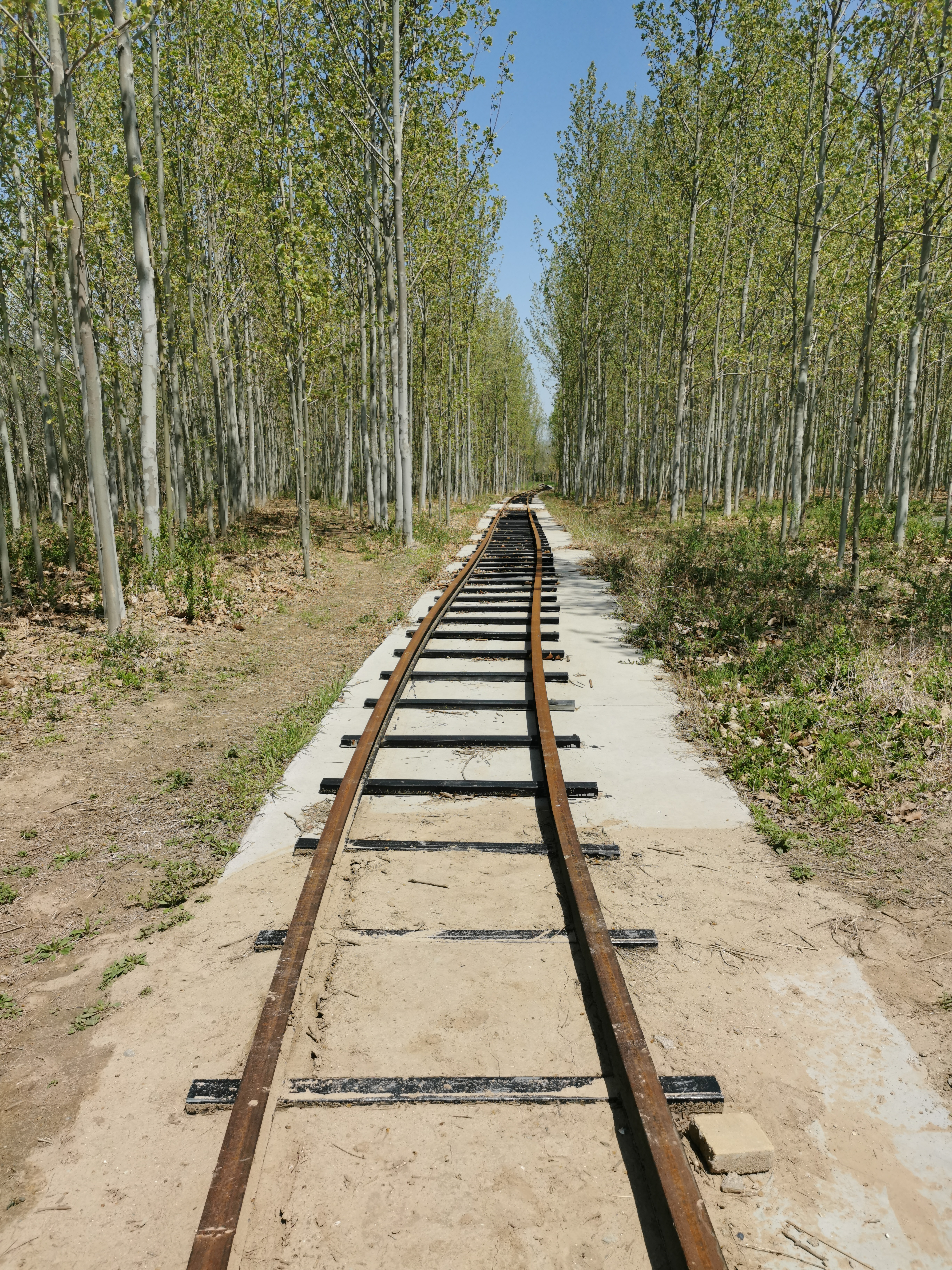 秦汉墓群旅行图片 1