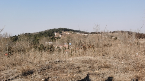 茶山旅游区旅行图片 1