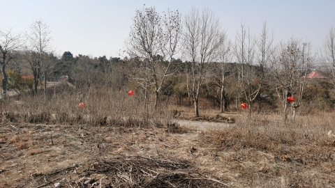 茶山旅游区旅行图片 2