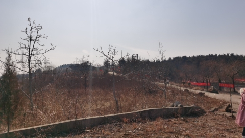 茶山旅游区旅行图片 3