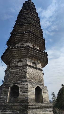 灵芝塔旅行图片 2