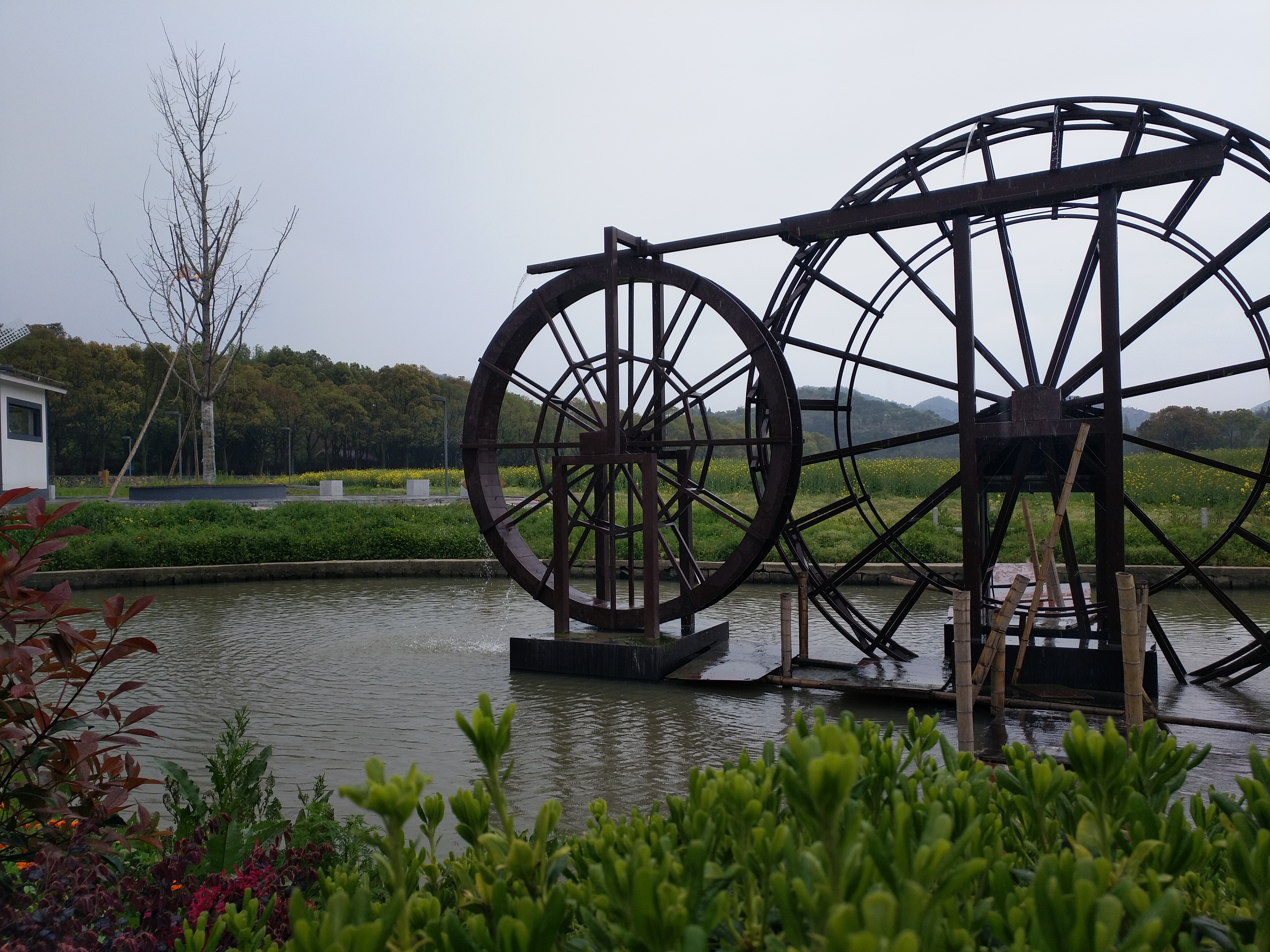 鸣鹤公园旅行图片 3