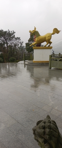 咸祥镇金山公园旅行图片 1
