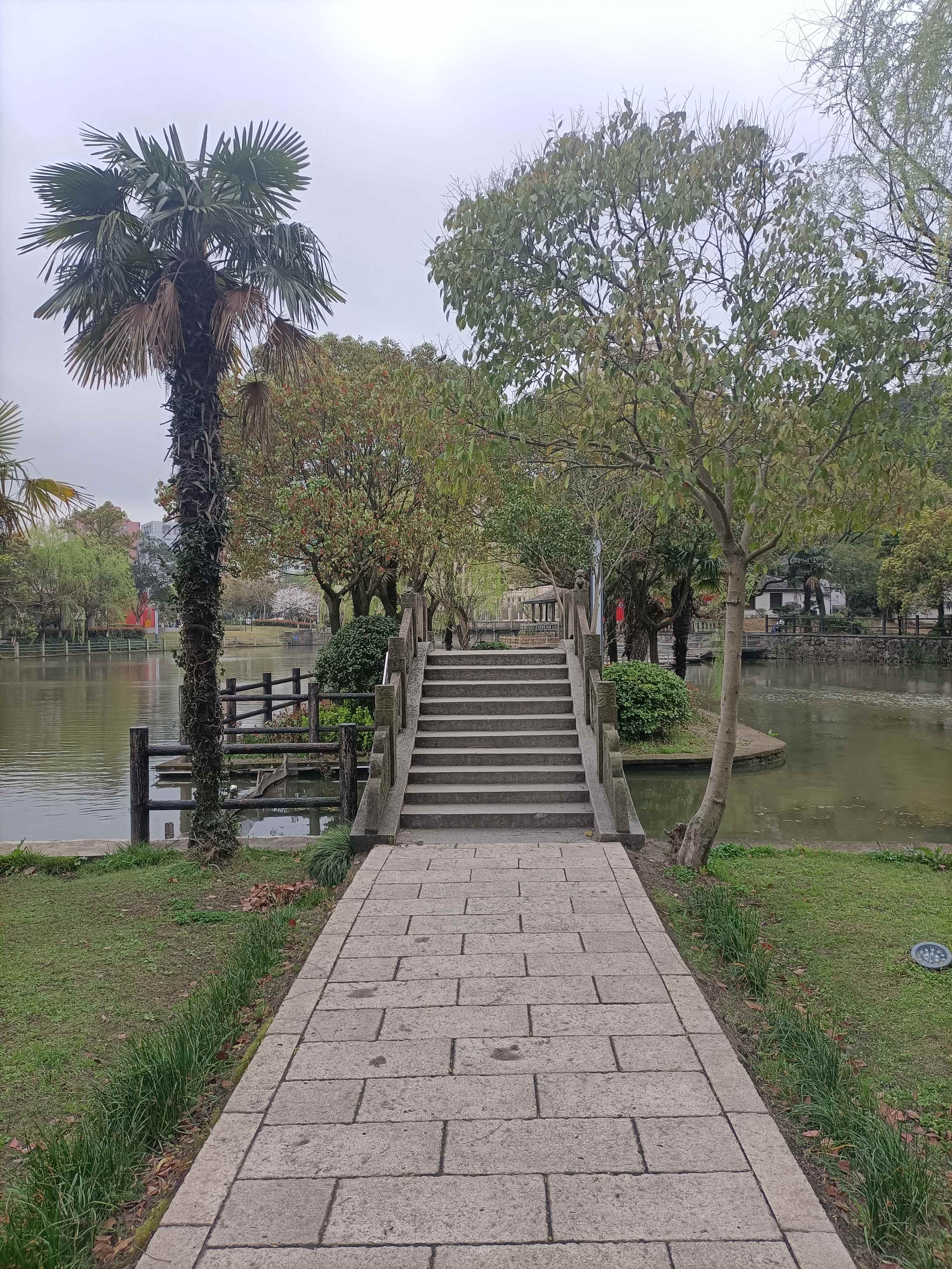 蛟山公园旅行图片 3