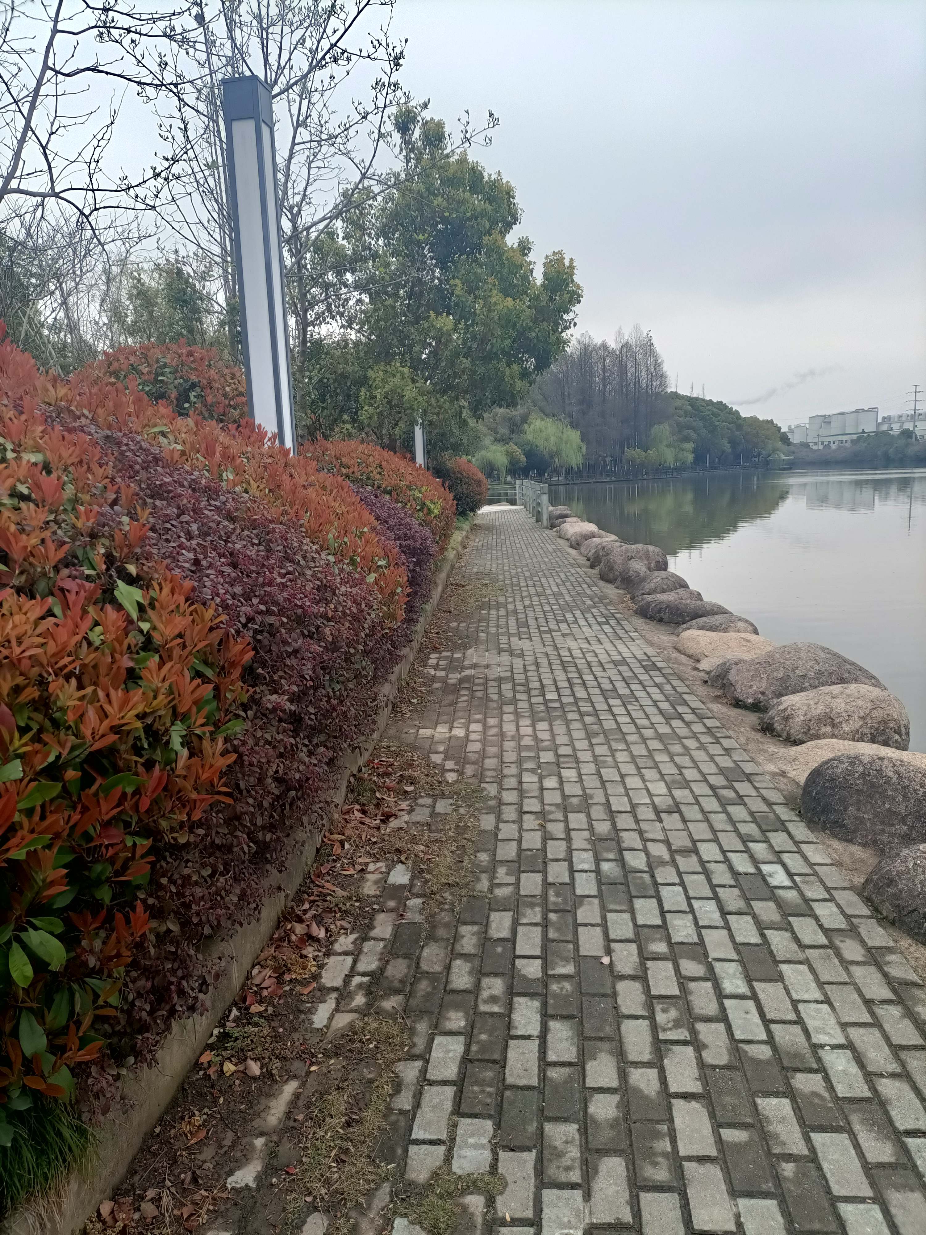 蛟山公园旅行图片 1