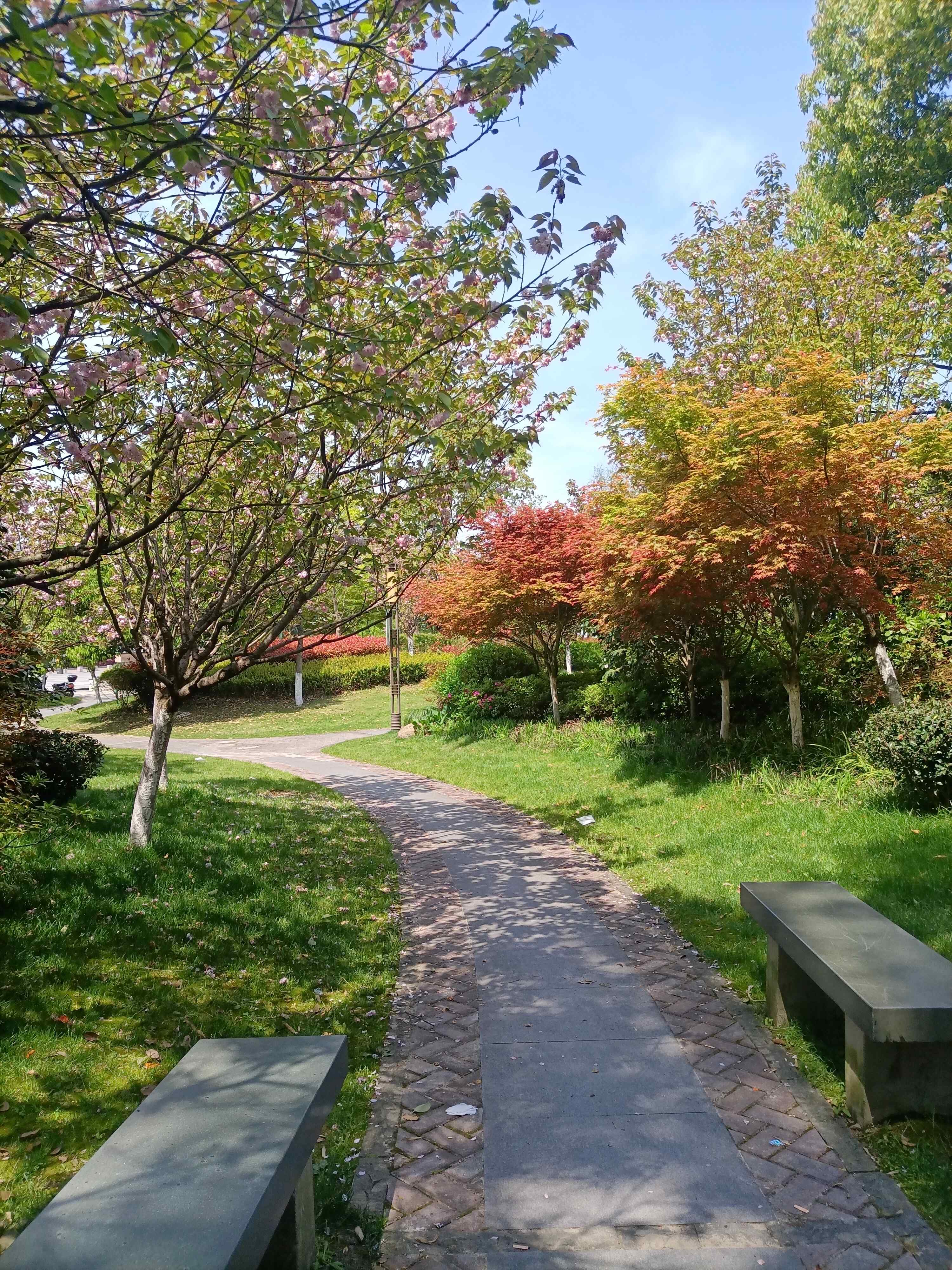 靖江山公园旅行图片 2