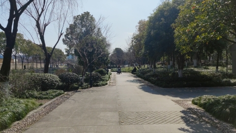 蔚蓝海岸旅行图片 1