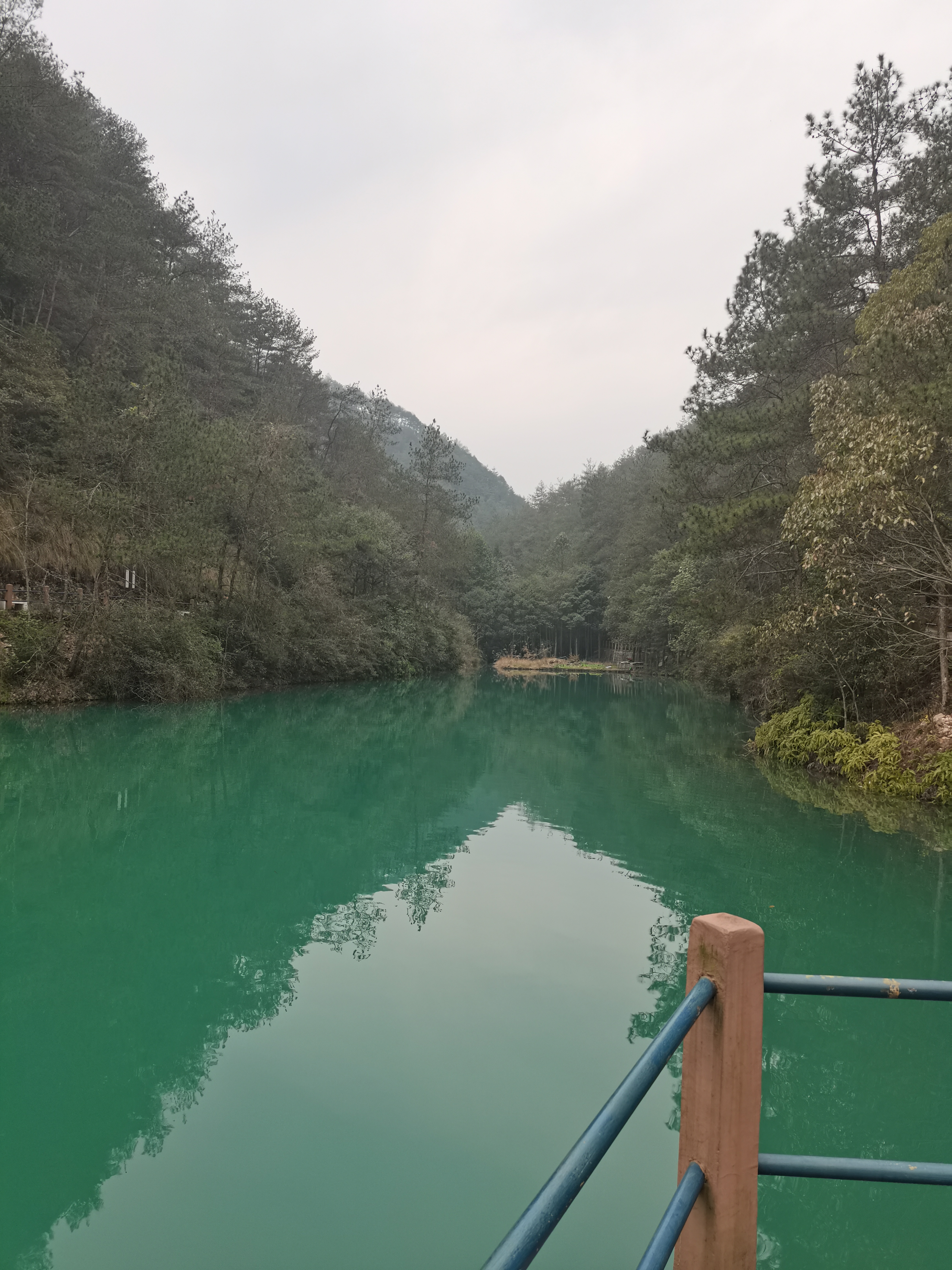 凤凰山森林公园旅行图片 1