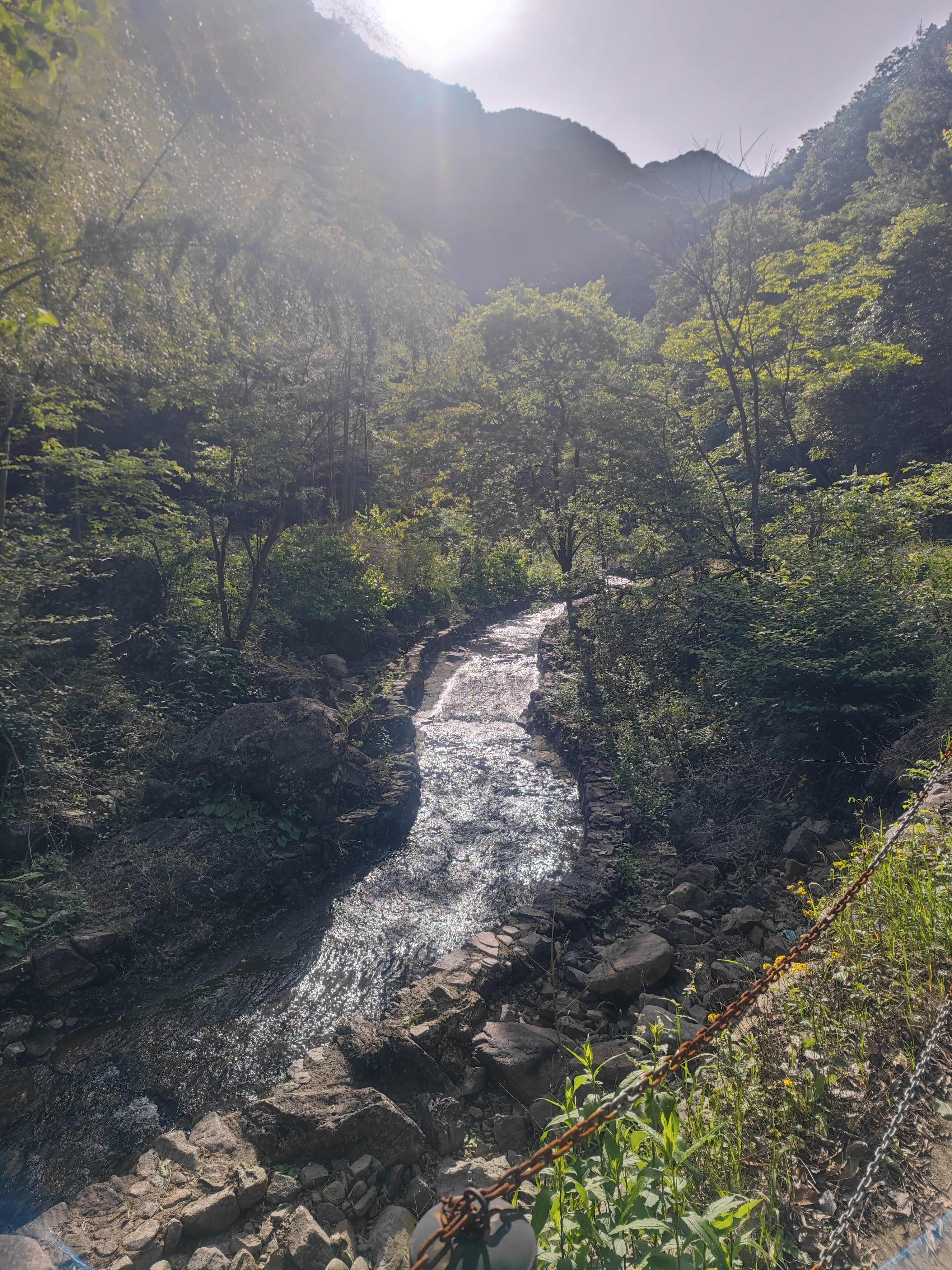 水竹湾森林公园旅行图片 3