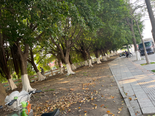 西滨公园旅行图片 1