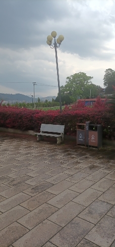 游定夫祠旅行图片 2