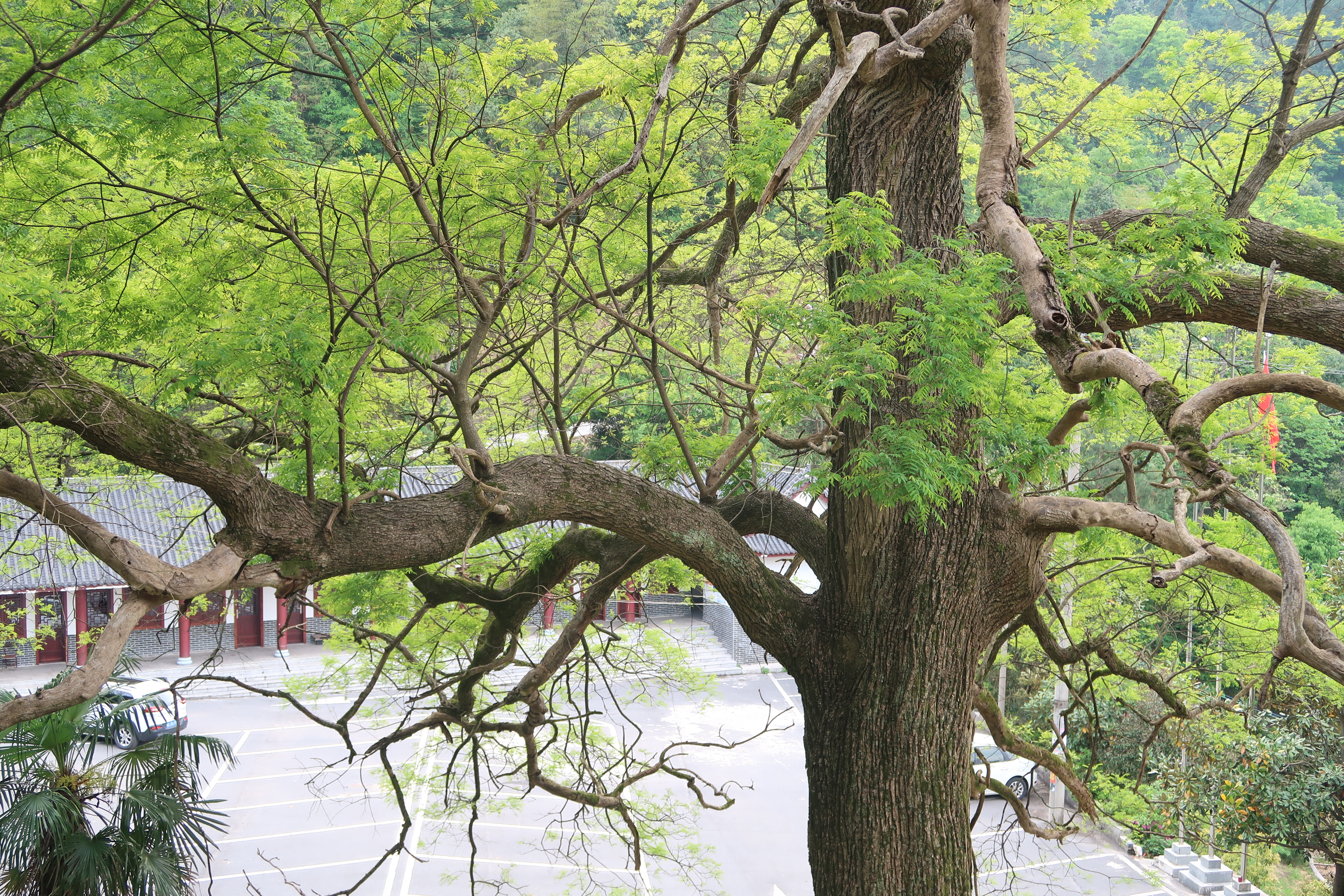 岐山旅游区旅行图片 2
