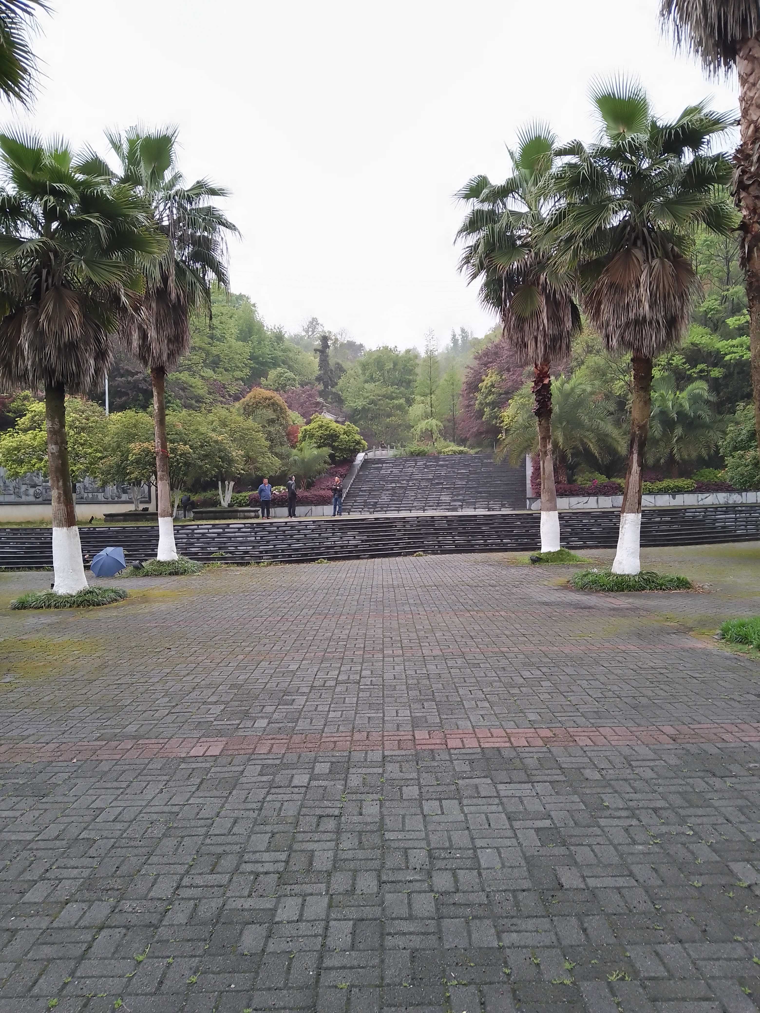 石榴湾生态公园旅行图片 1