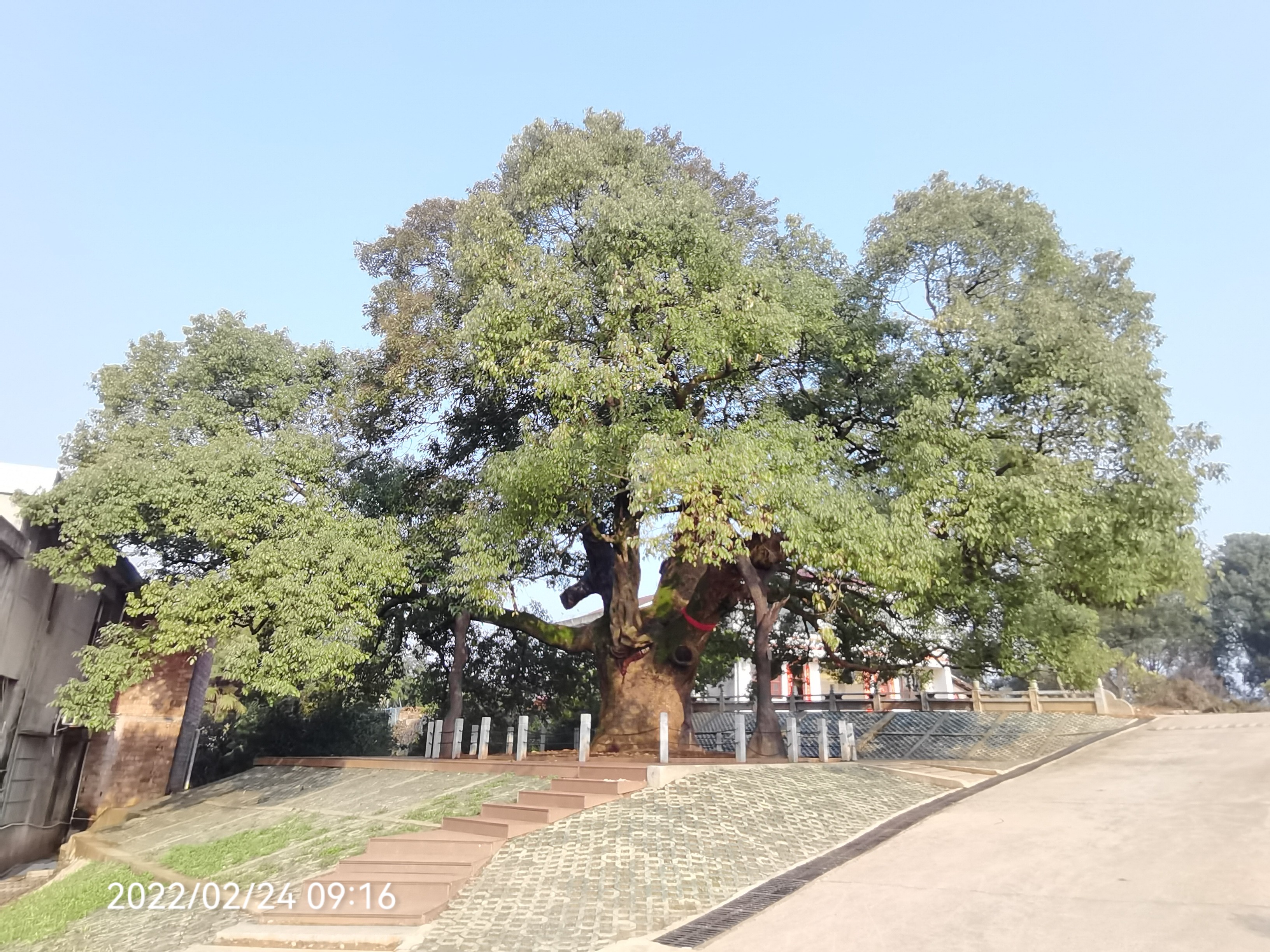 樟抱腊旅行图片 1