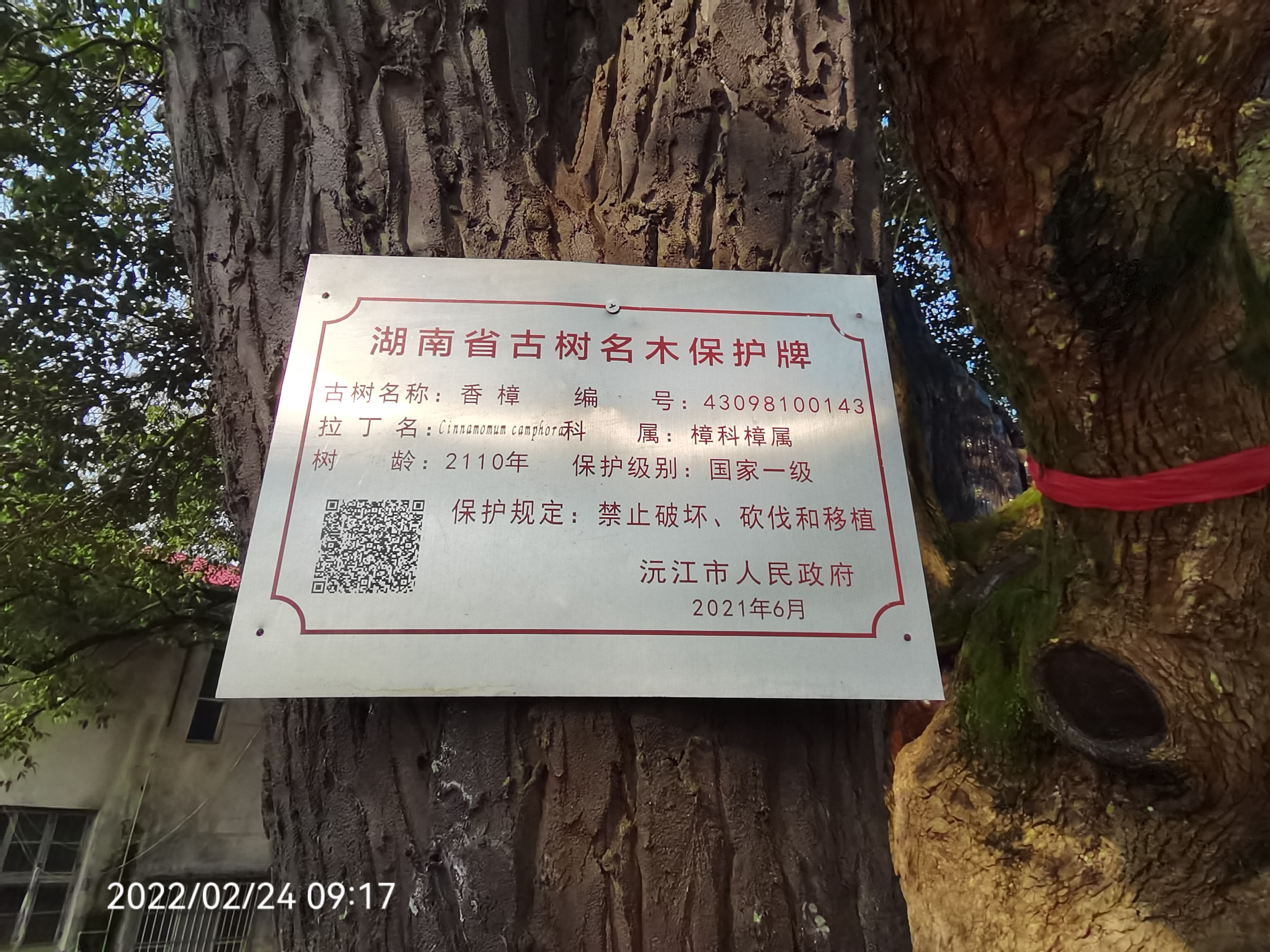 樟抱腊旅行图片 3