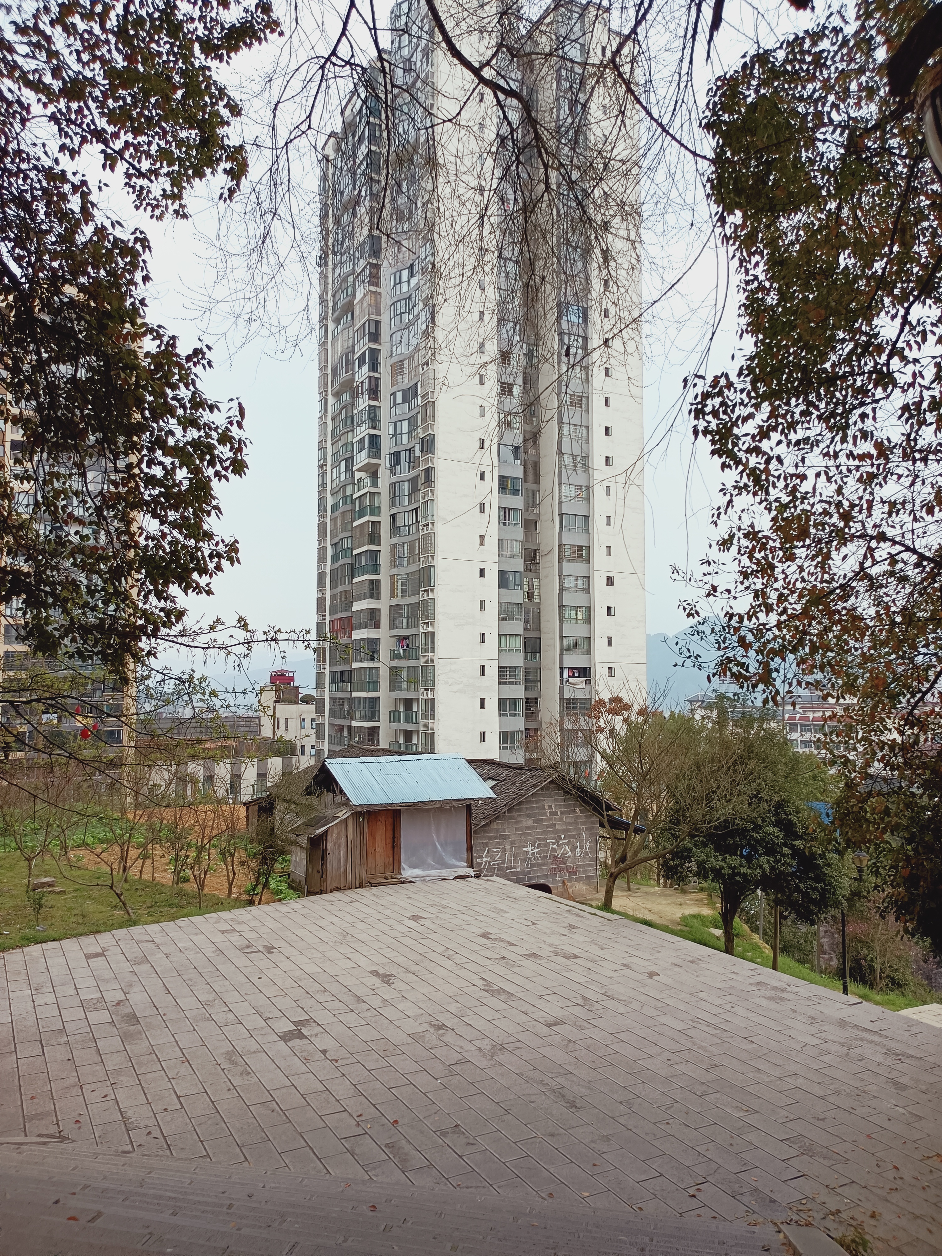 花果山森林公园旅行图片 3