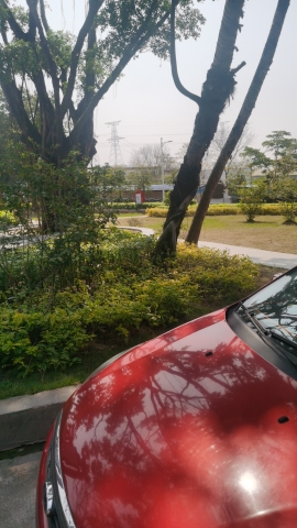 罗洞公园旅行图片 2